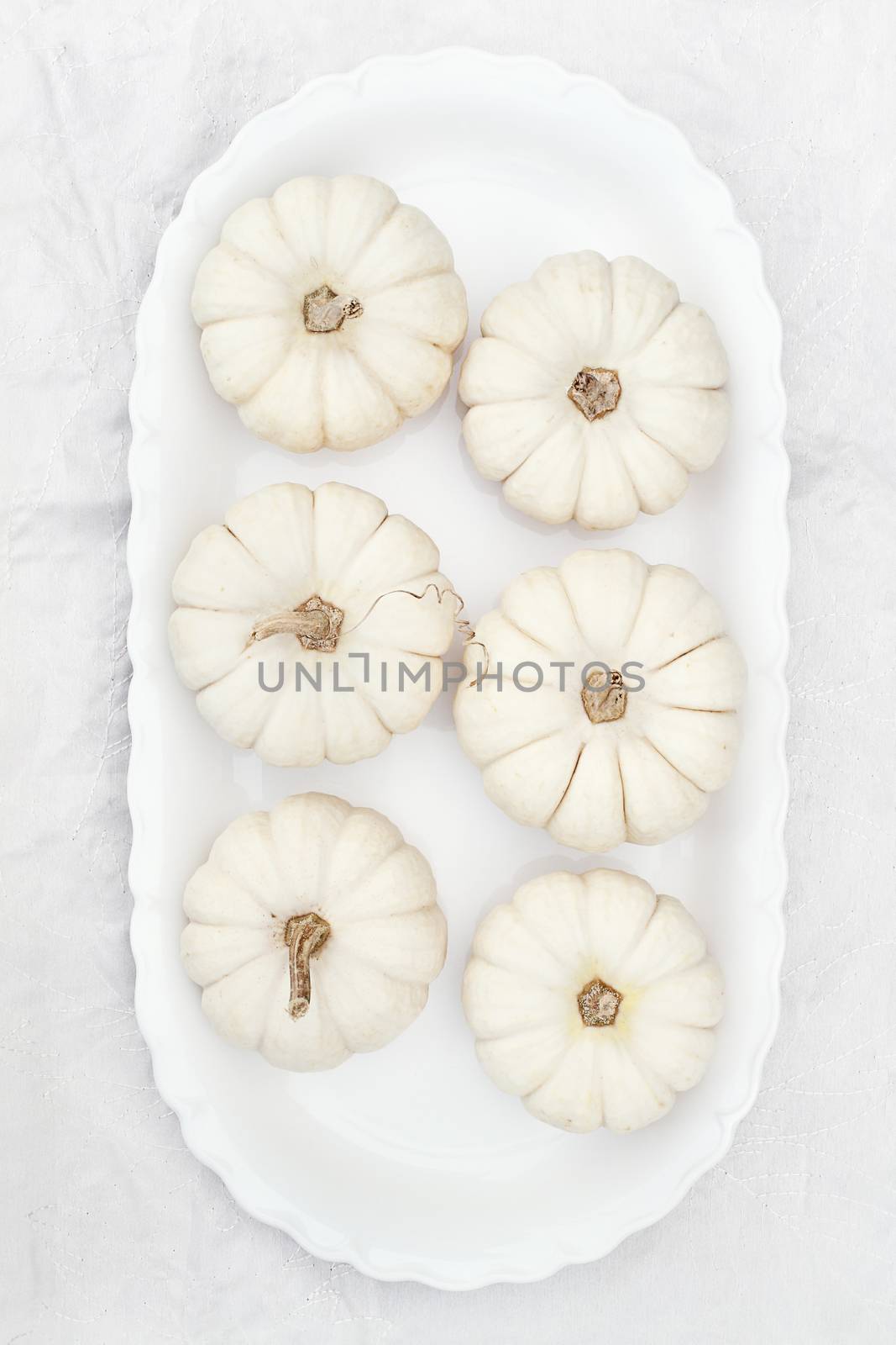 Beautiful table decorations of white pumpkins.