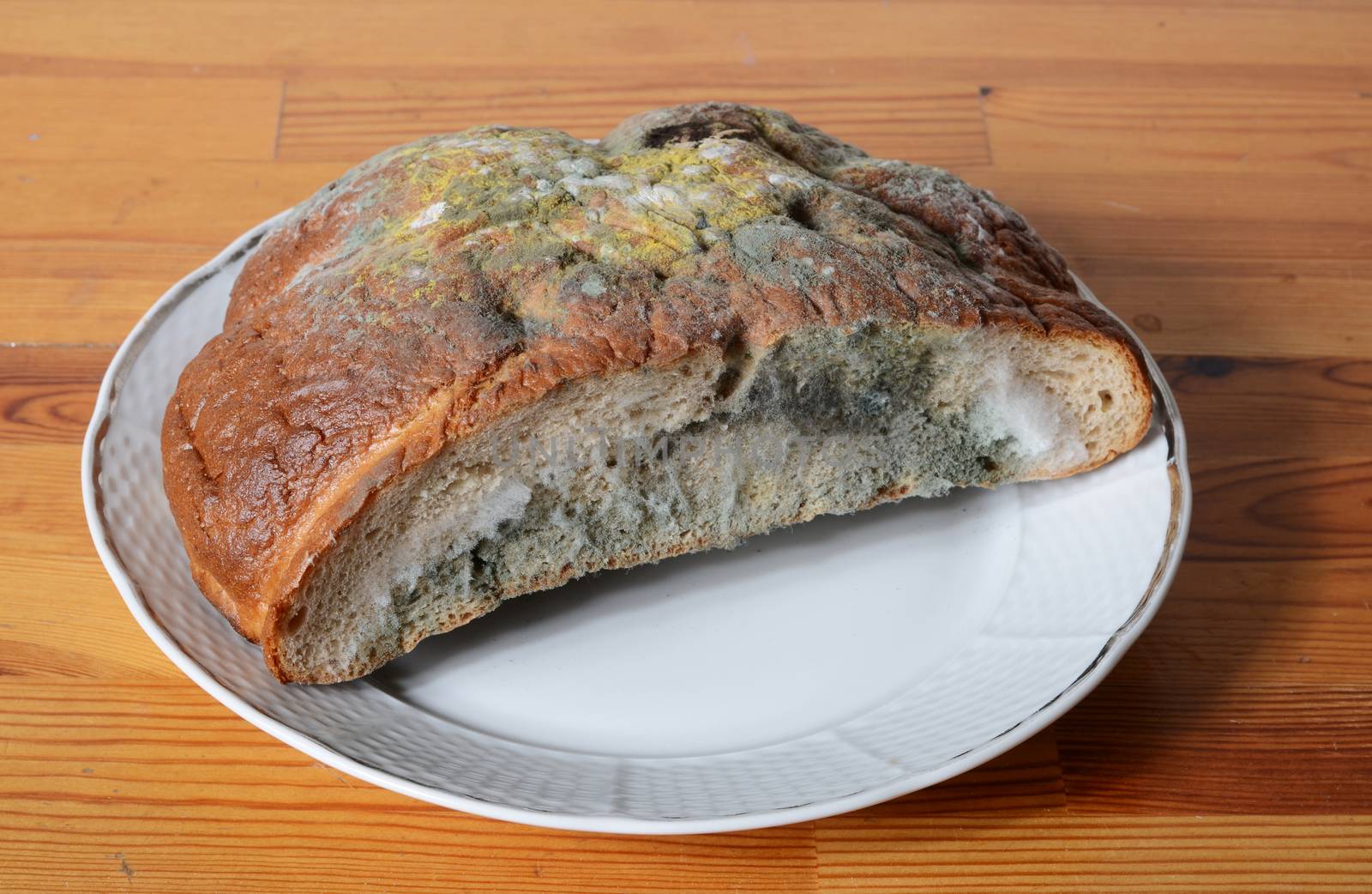 moldy bread