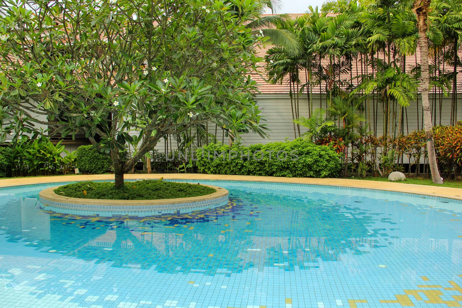 Swimming pool at resort villa in Thailand