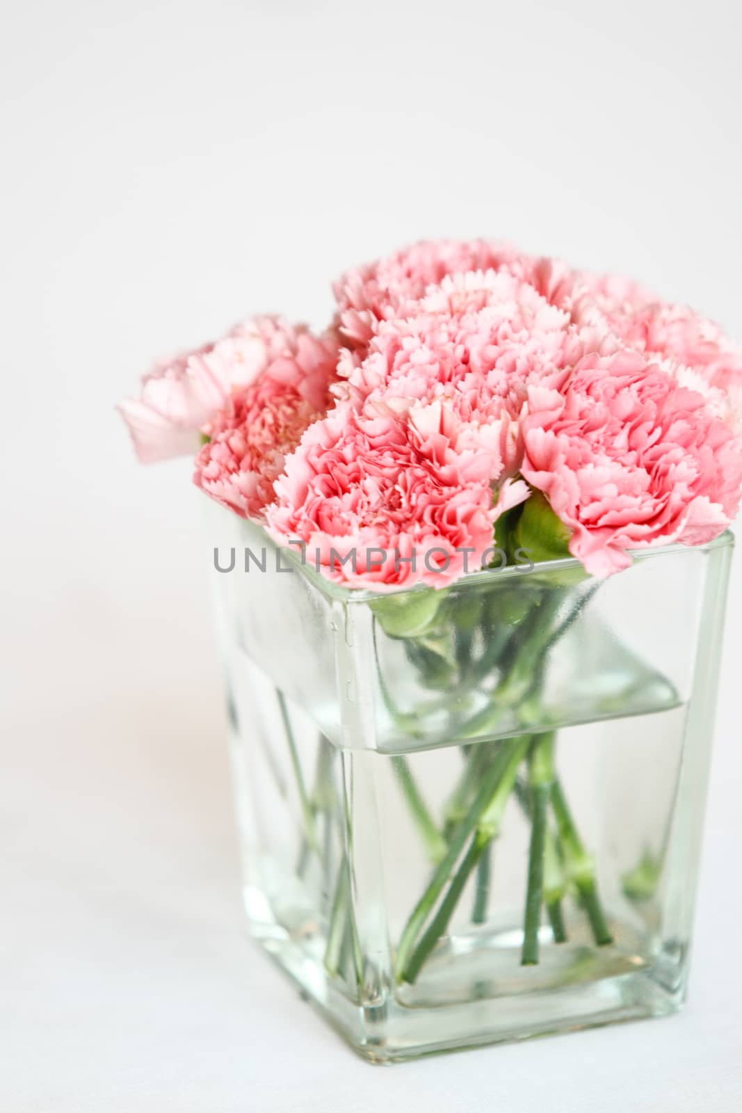 Bouquet of carnation flowers in glass vase