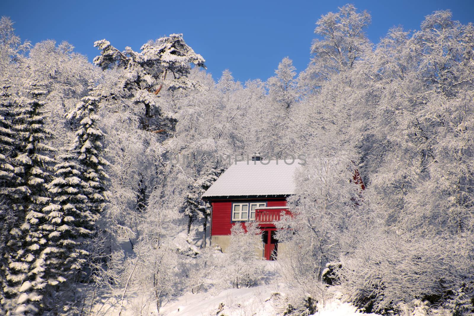 A small red cabin in a winter forest with snow, blue sky and sunshine
