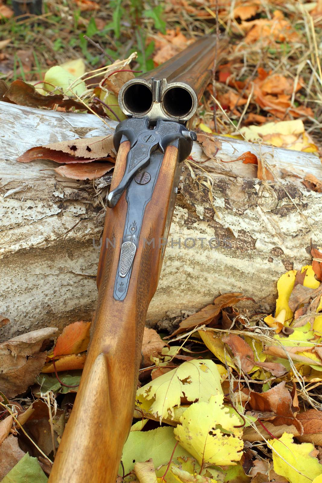 A wooden retro shotgun in autumn style