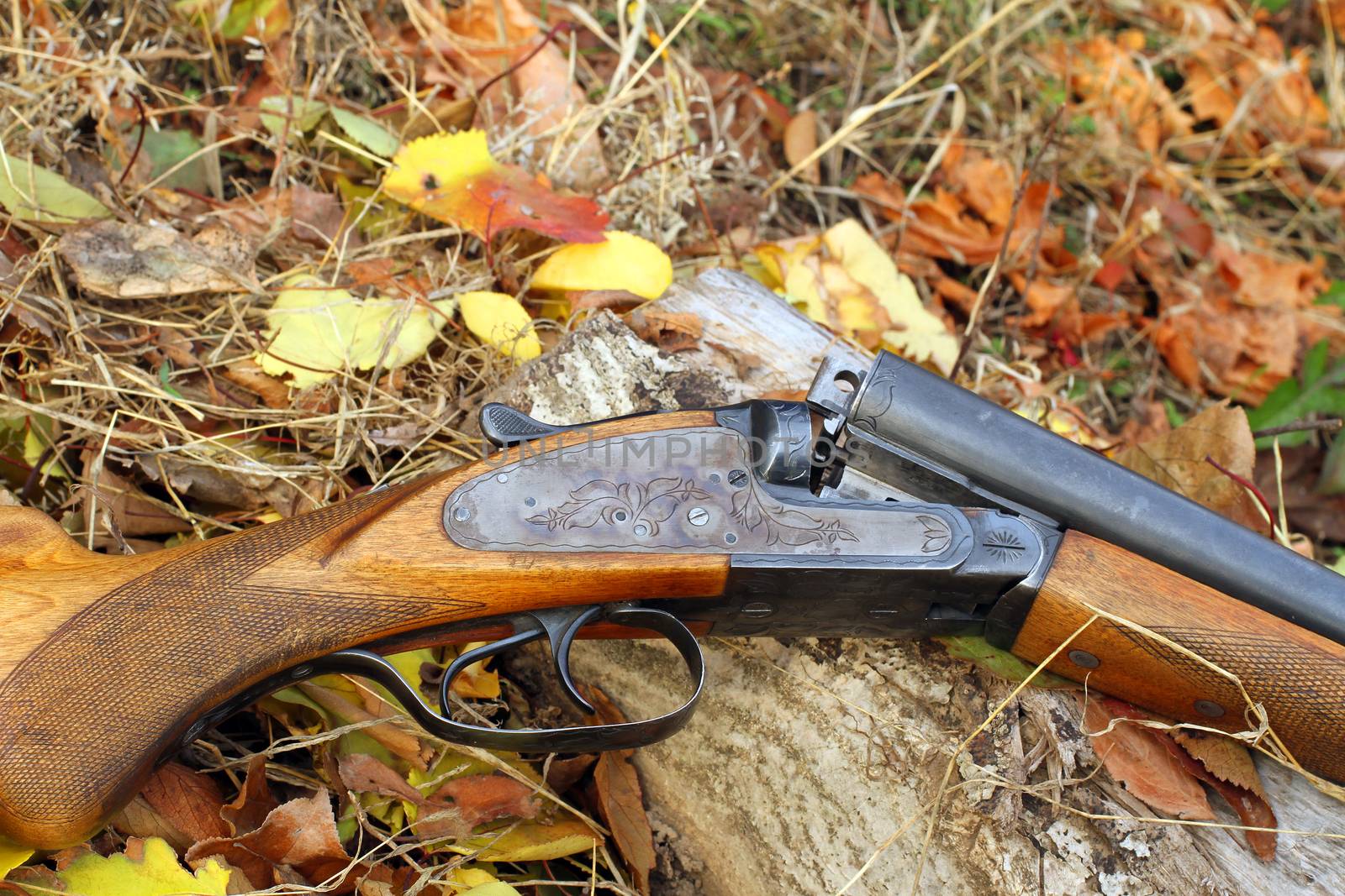 A wooden retro shotgun in autumn style