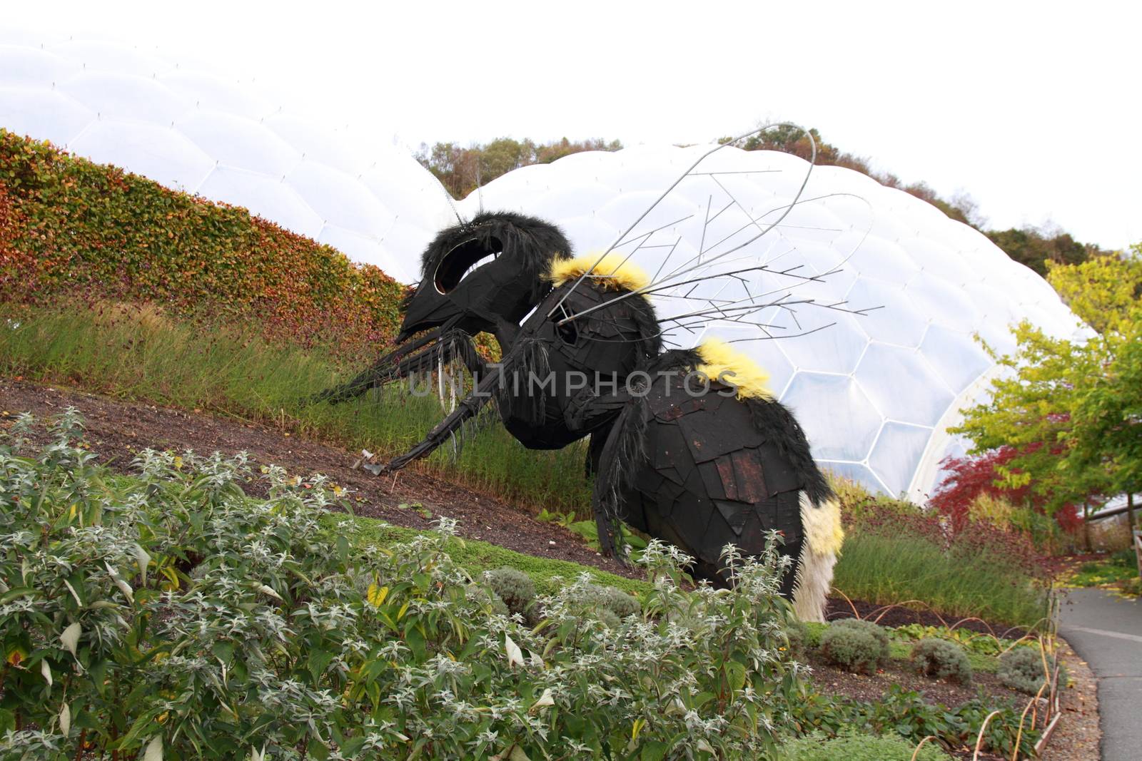 Eden Project Cornwall uk by mitzy