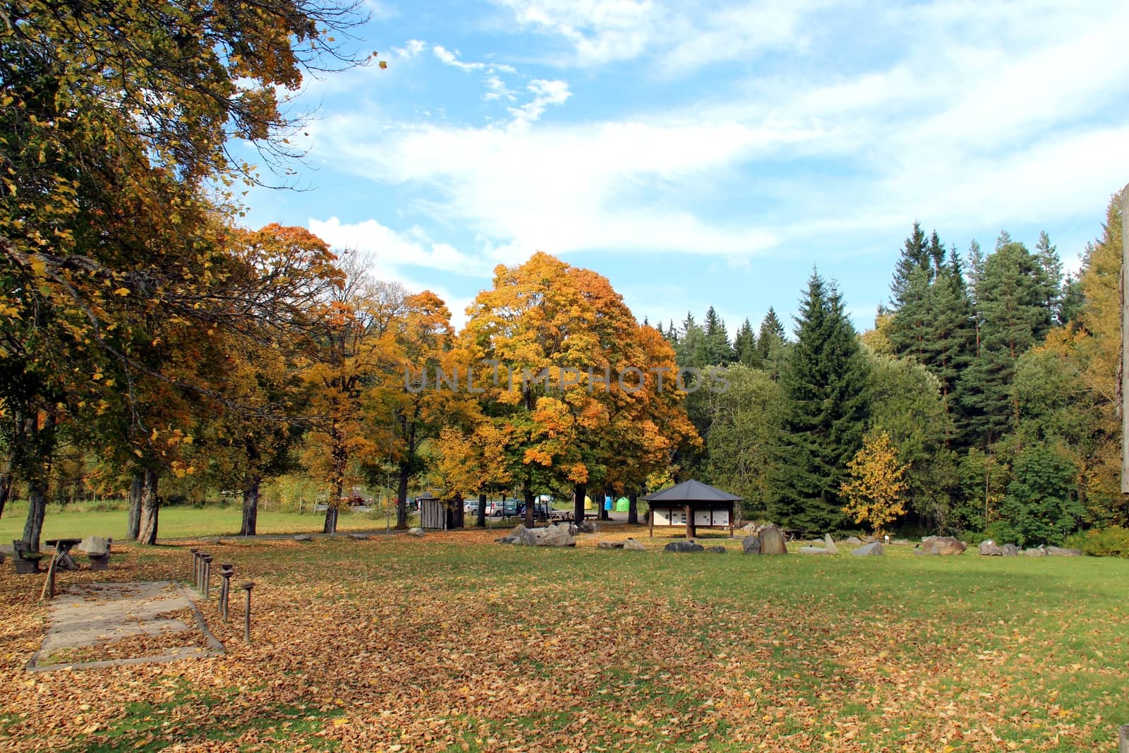 Photo shows details of countryside wood and landscape.