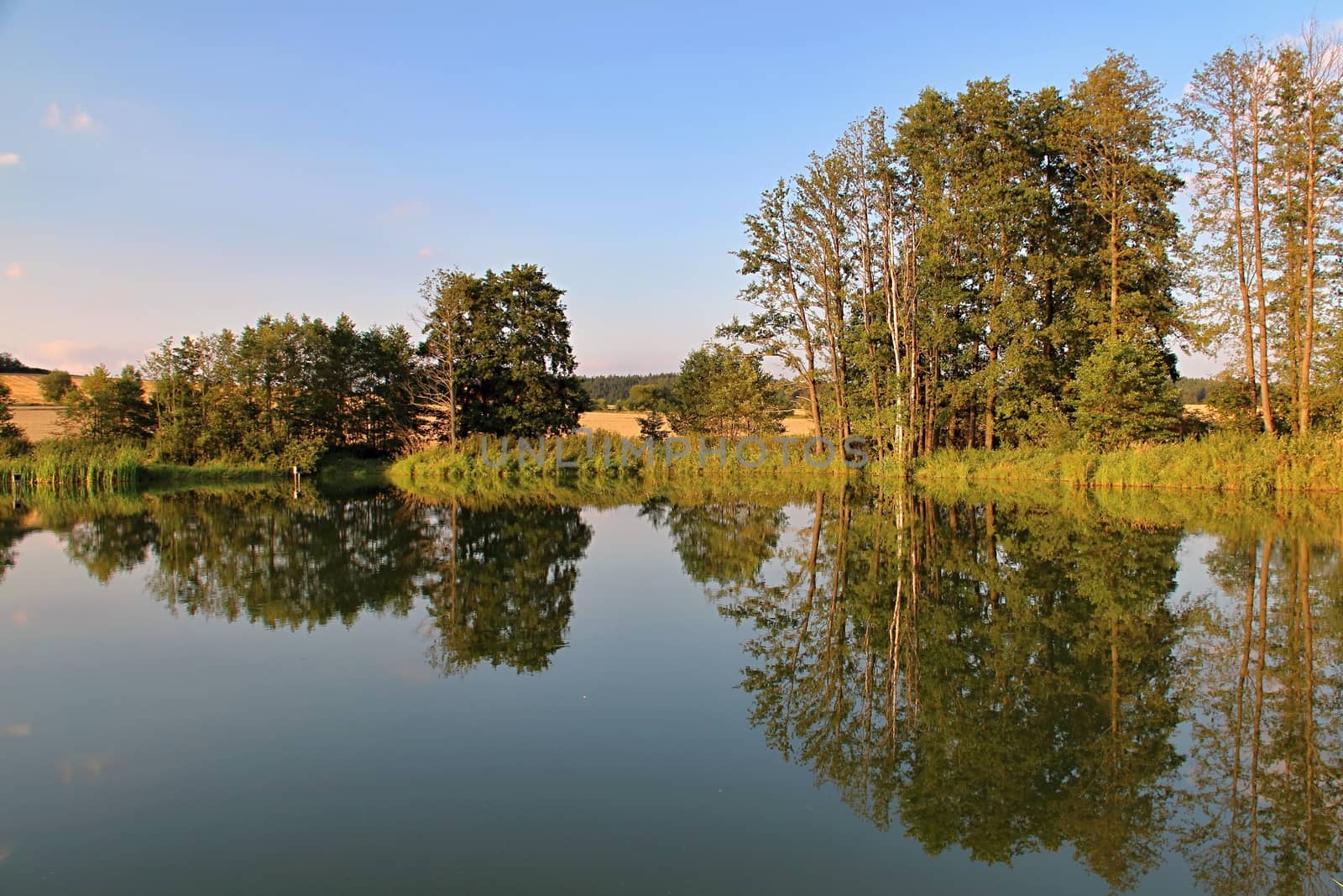 Photo shows details of countryside wood and landscape.