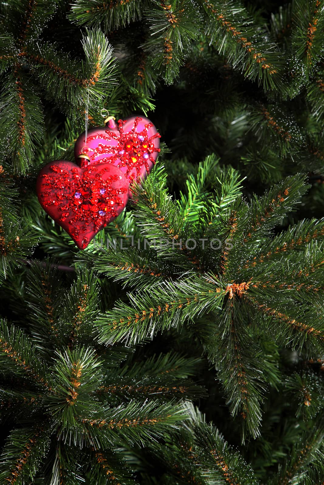 Red Christmas tree decoration in the form of heart on a fir-tree branch