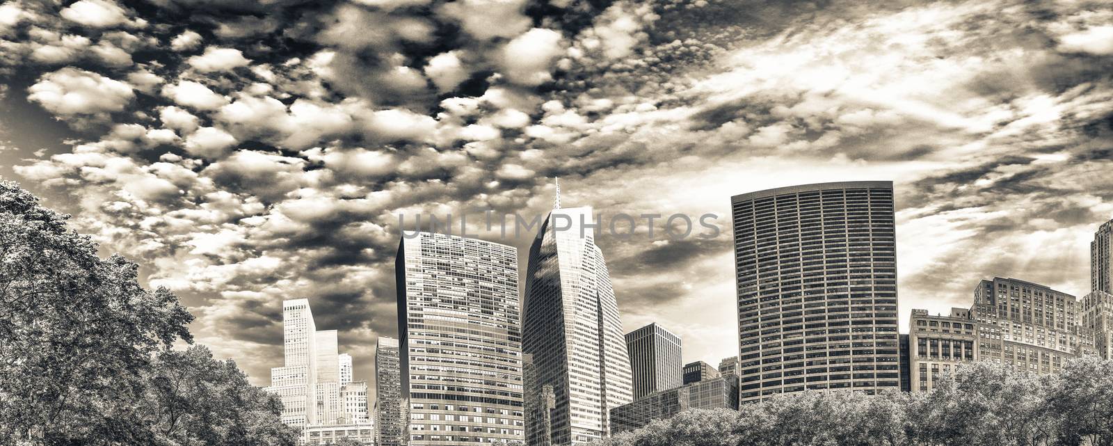 Tall skyscrapers over Bryant Park trees, Manhattan - New York Ci by jovannig