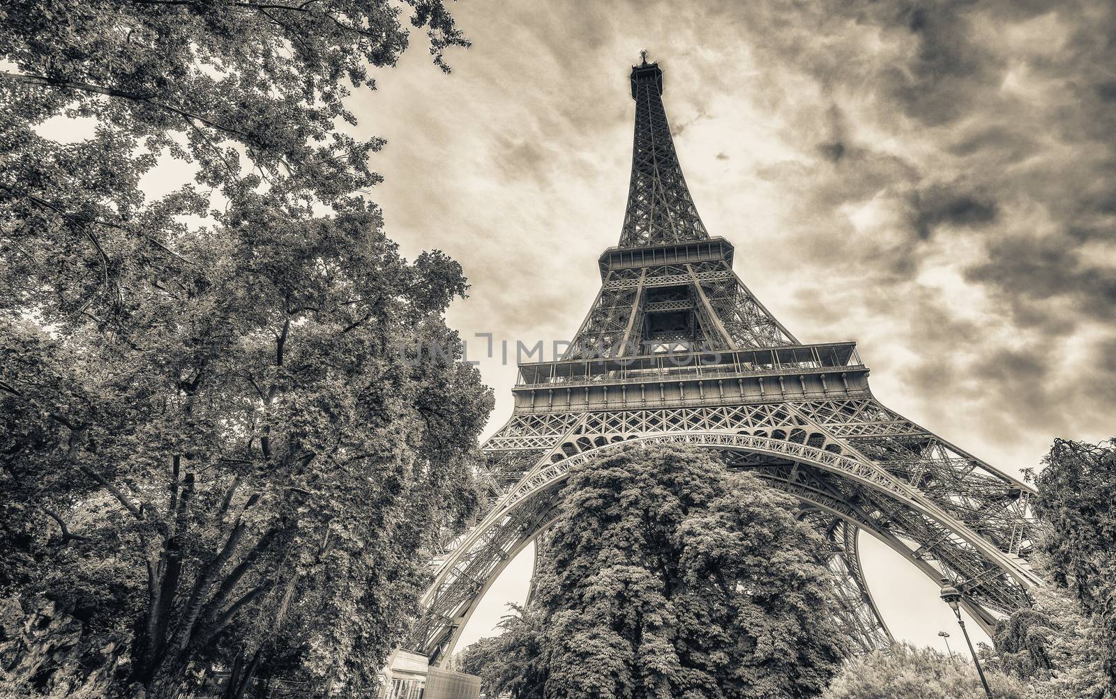 Eiffel Tower between gorgeous vegetation of Paris.