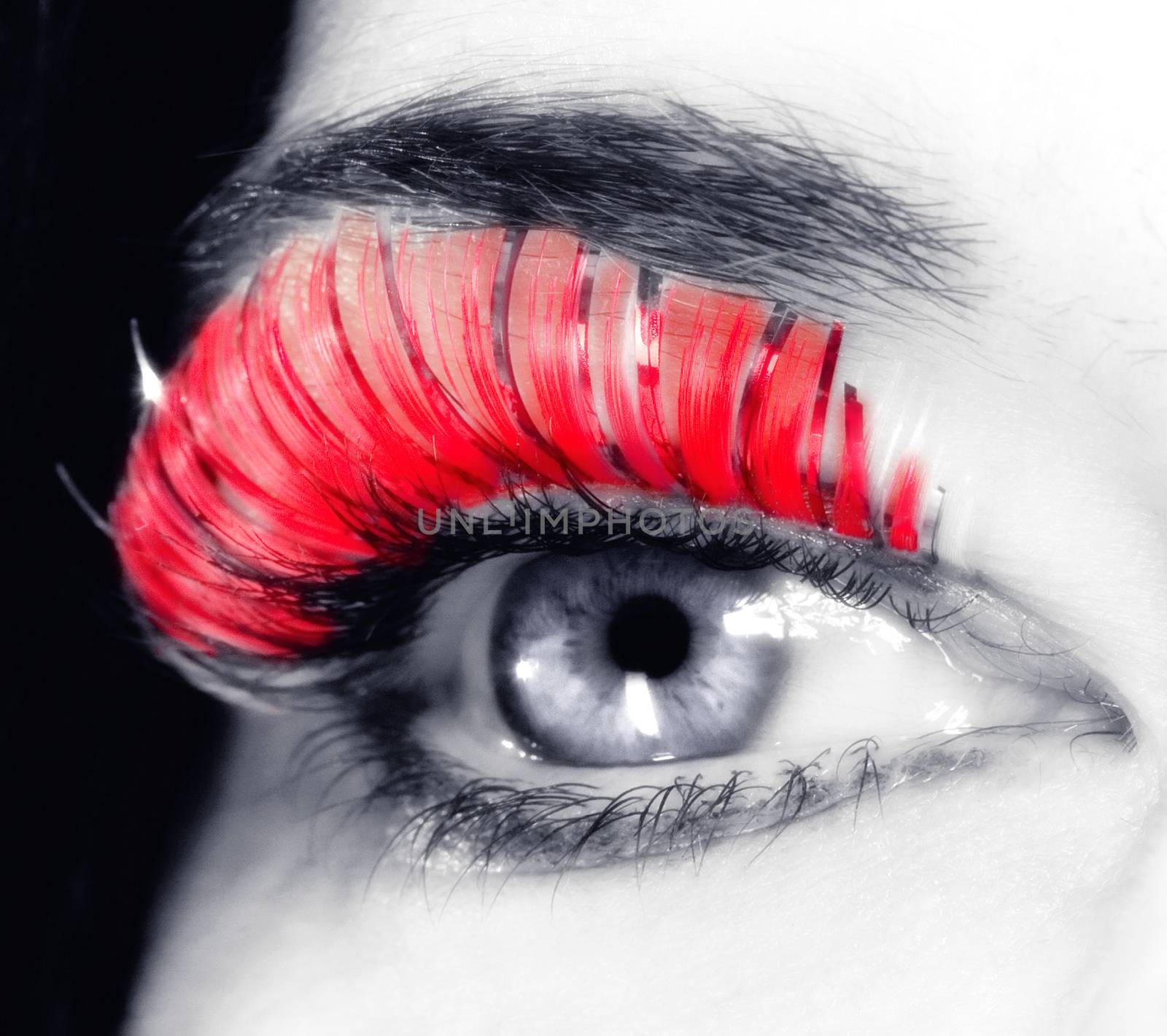 Extreme Closeup of an Eye with Long Red Eyelashes