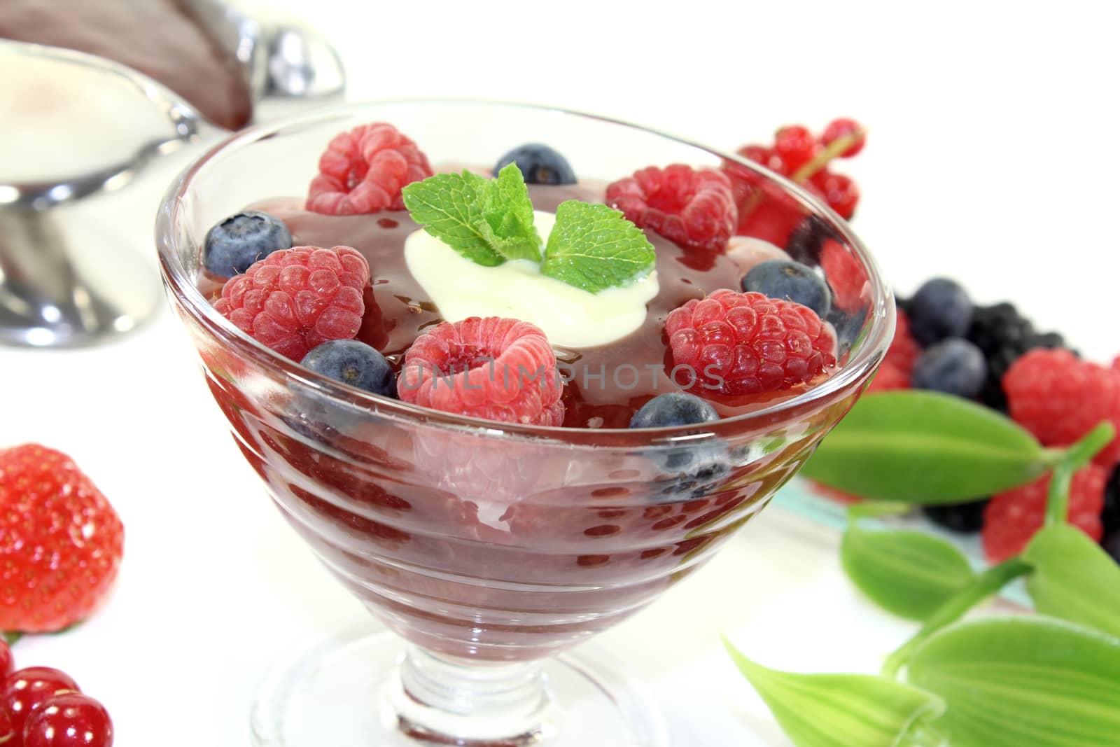 red fruit jelly with custard by discovery