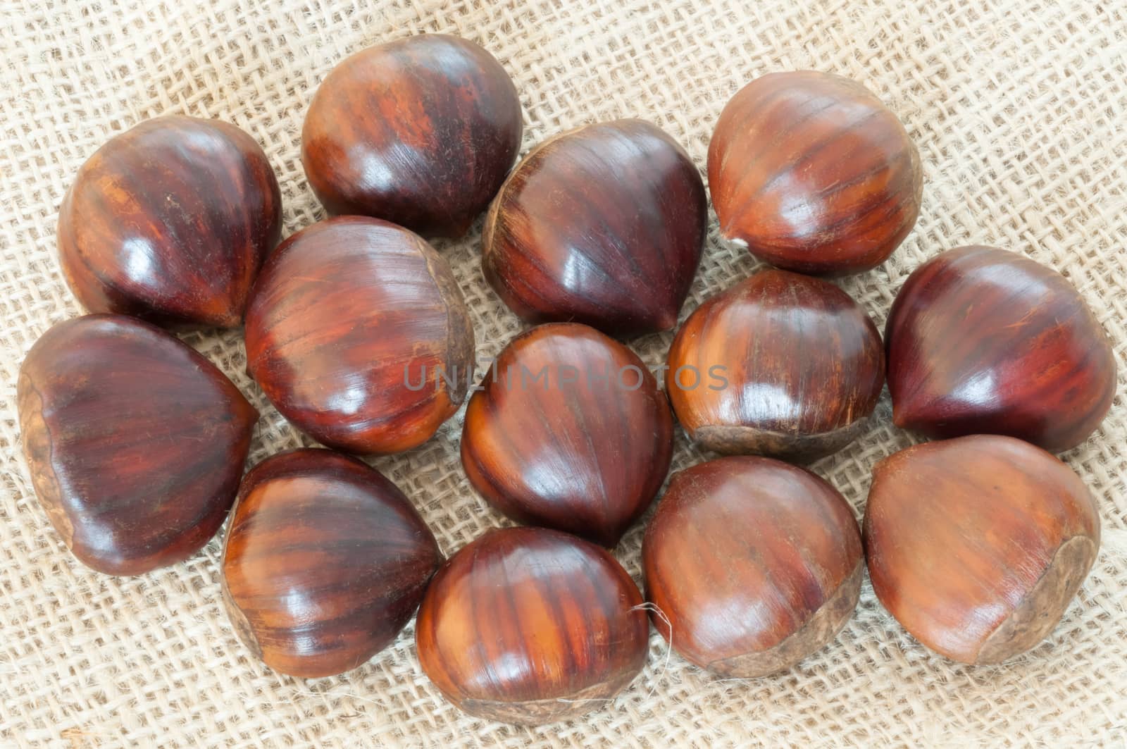 beauitful macro of chestnut in jute background