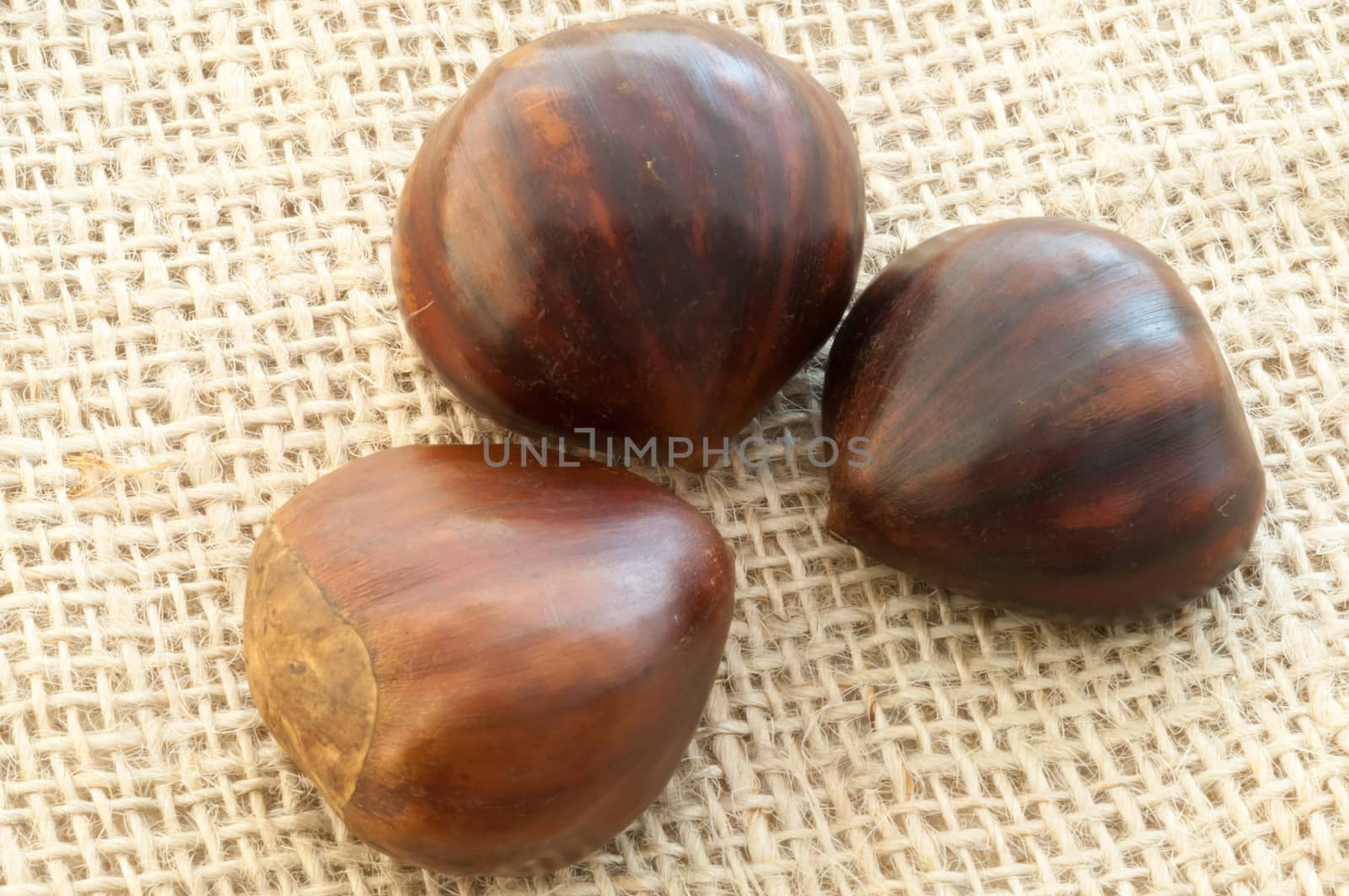 beauitful macro of chestnut in jute background