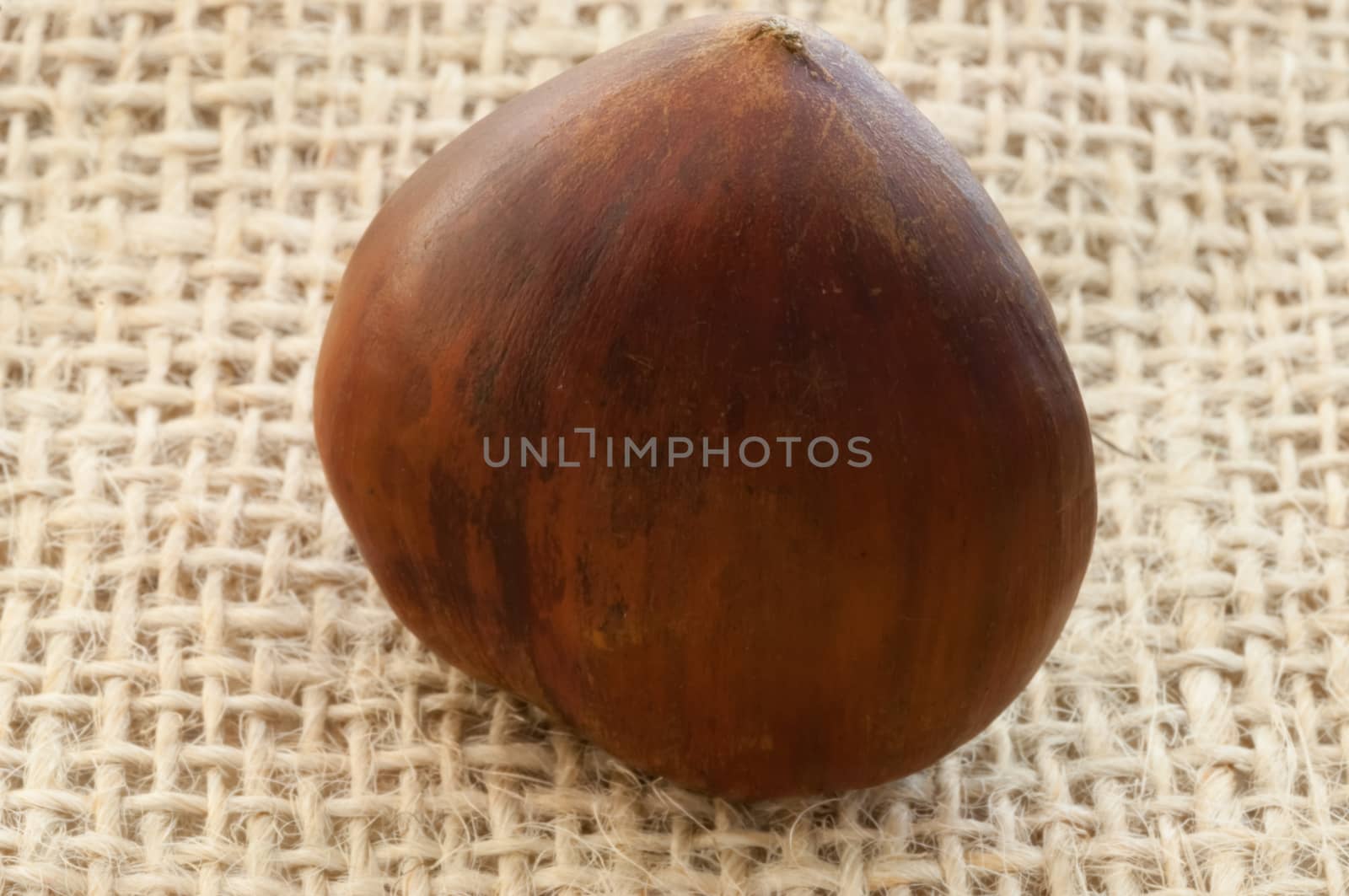 beauitful macro of chestnut in jute background