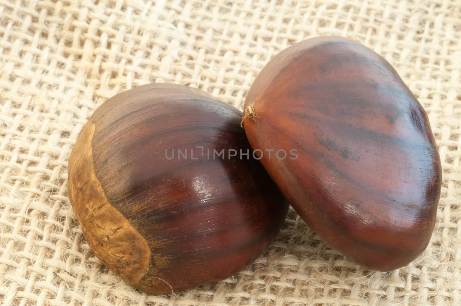 beauitful macro of chestnut details in jute background