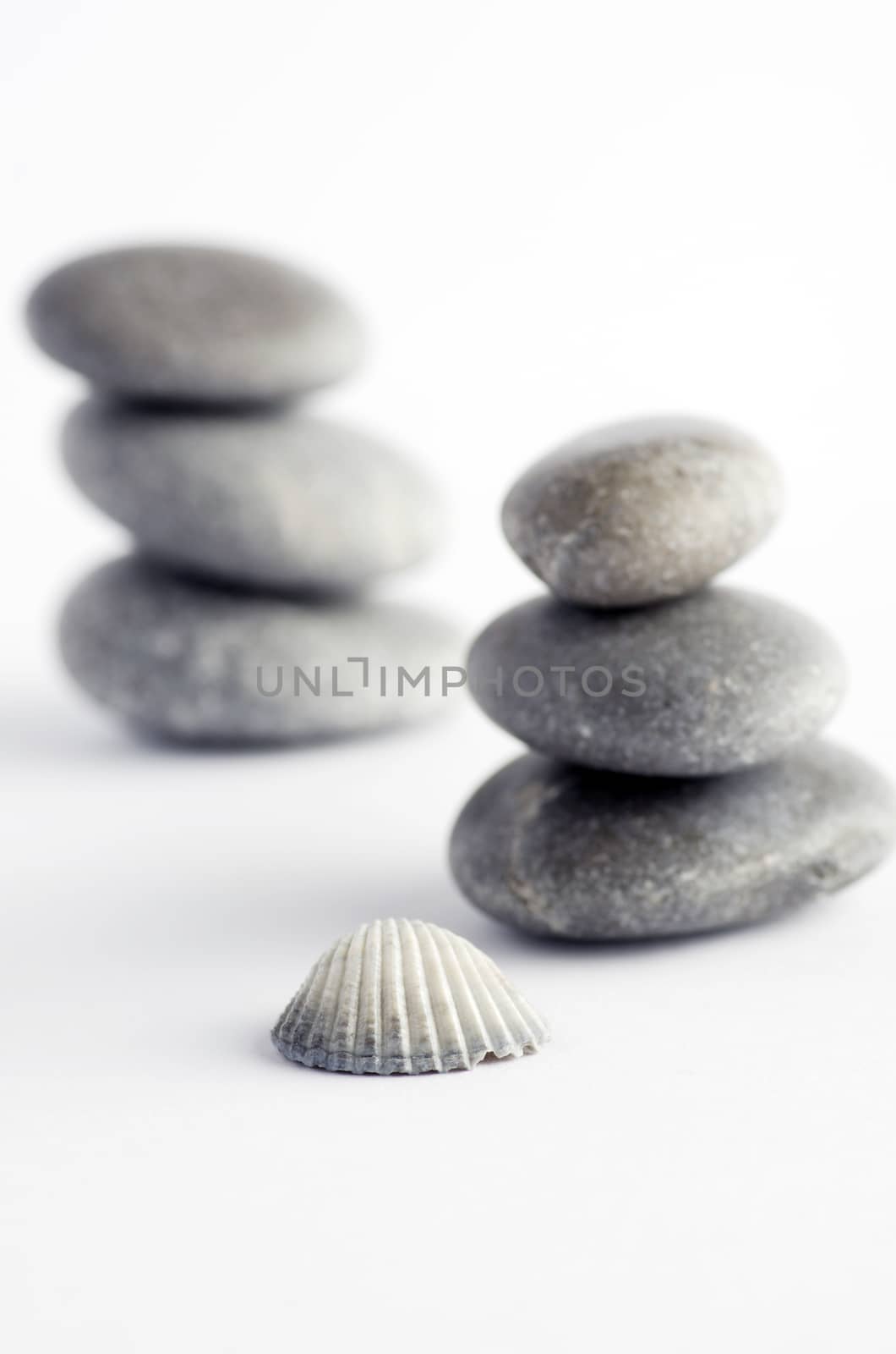 Natural spa elements- seashell with starshell and stones on white 