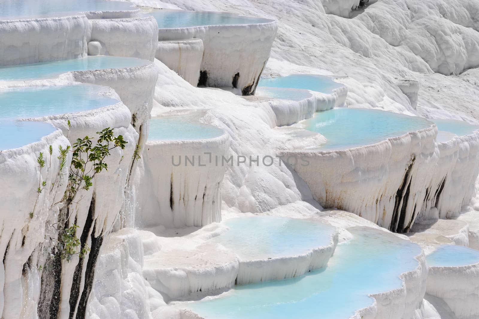 Blue water travertine pools and terraces in Pamukkale, Turkey