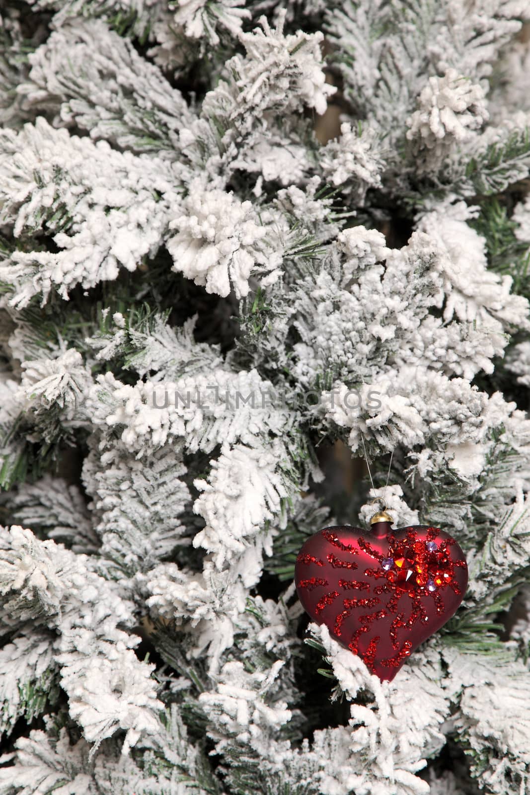 red toy in the form of heart on a branch of the fir-tree covered with hoarfrost