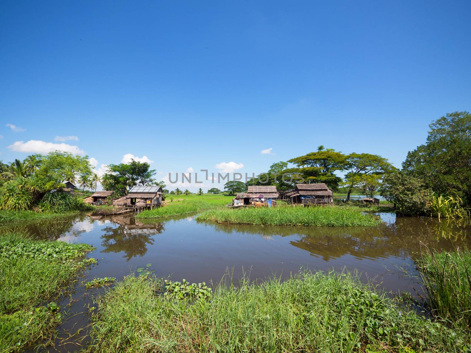 Farmhouses between a canal and the rice fields at the Irrawaddy Delta in Southern Myanmar