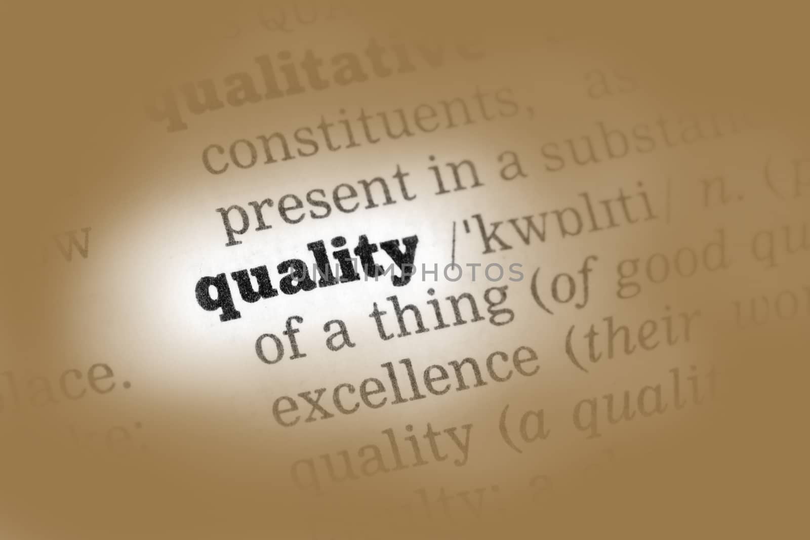 Quality Dictionary Definition single word with soft focus