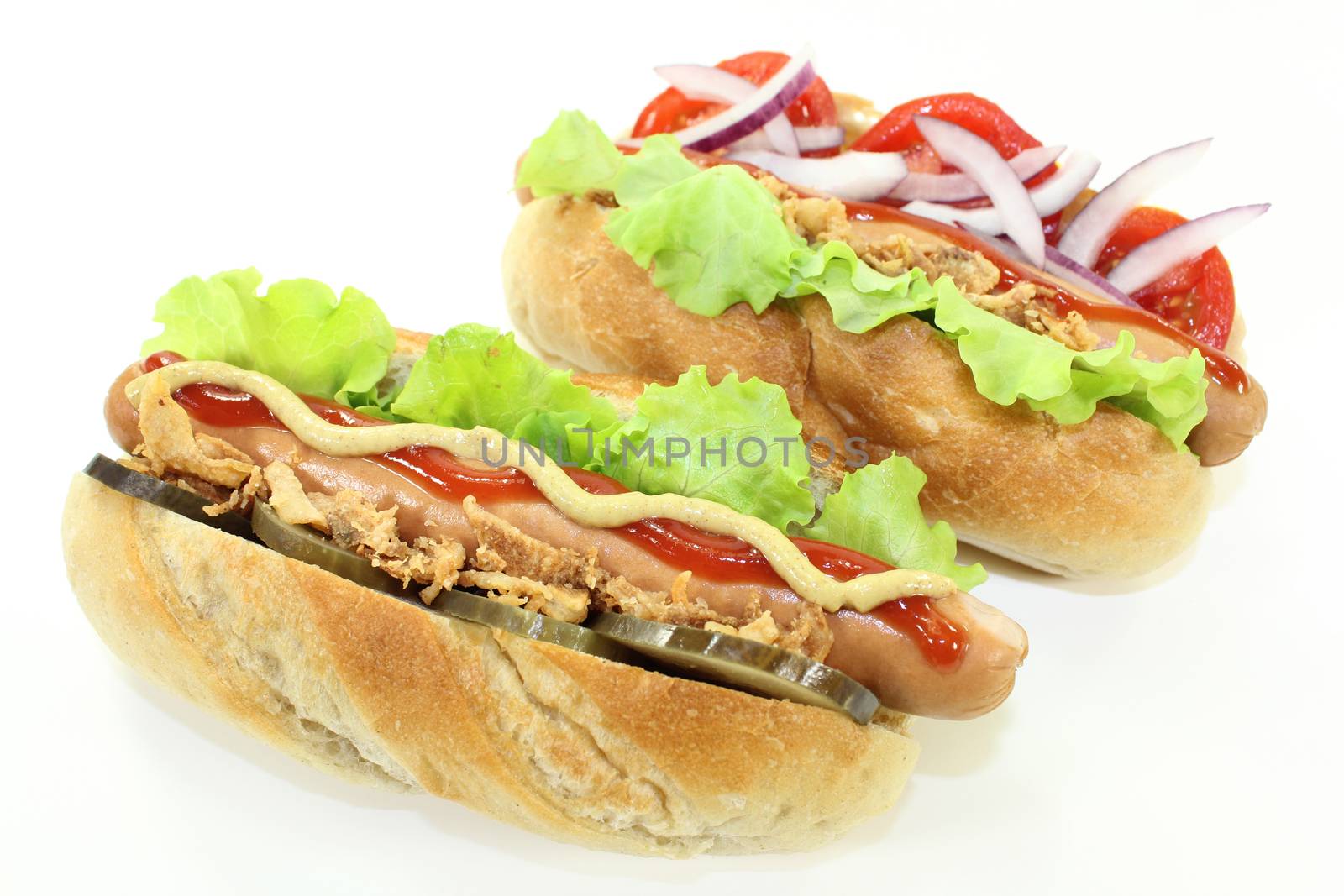 various Hot Dog's in front of white background