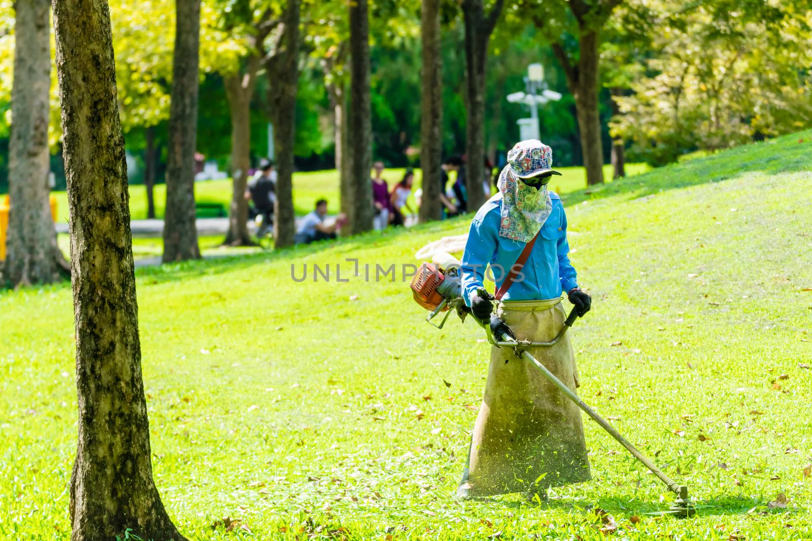 lawn mower worker man cutting grass in green field park by pitchaphan