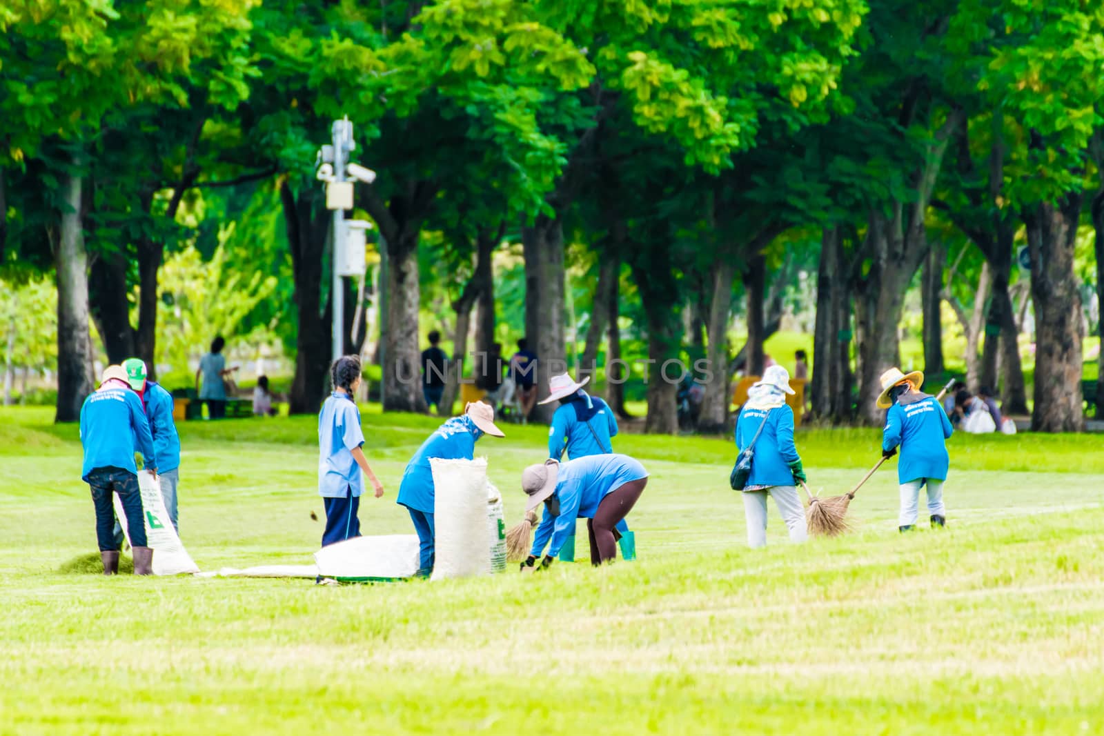 teamWork collect garbage in the park by pitchaphan