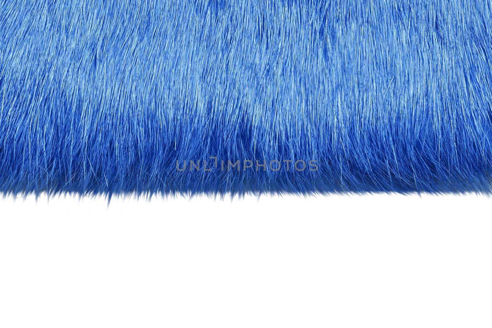 Macro picture of blue fur for backgrounds