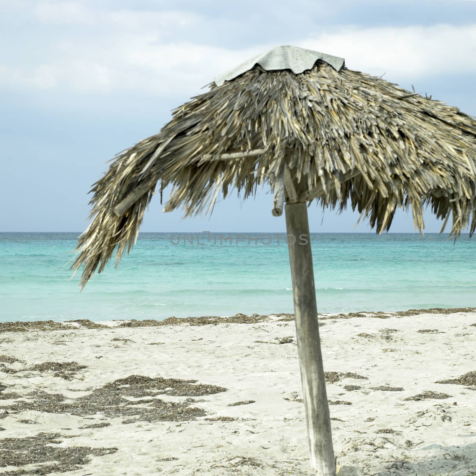 Parasol on an abandonned beach by mmm