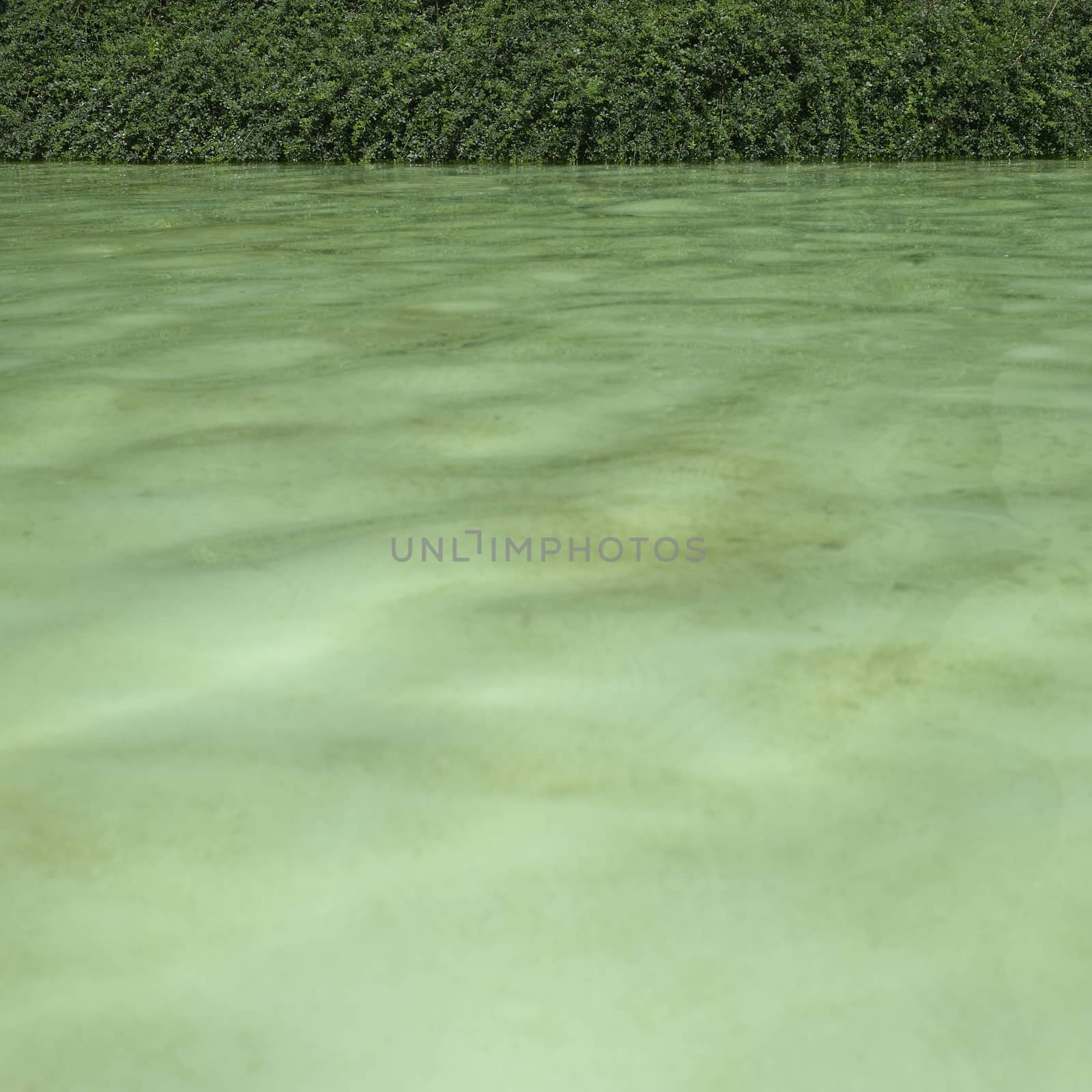 Green water by mmm