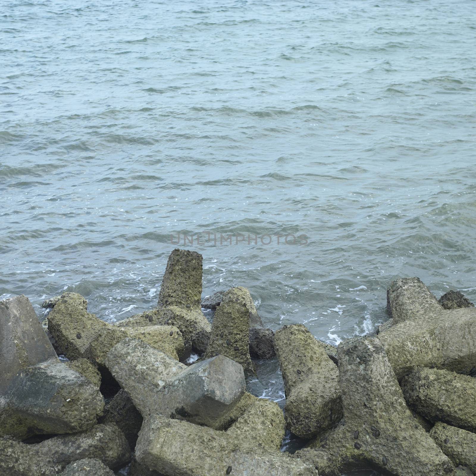 Concrete star shaped blocks by mmm