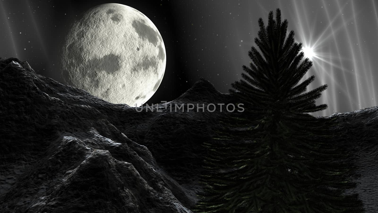 Christmas Night Winter Landscape in the Mountains by ankarb