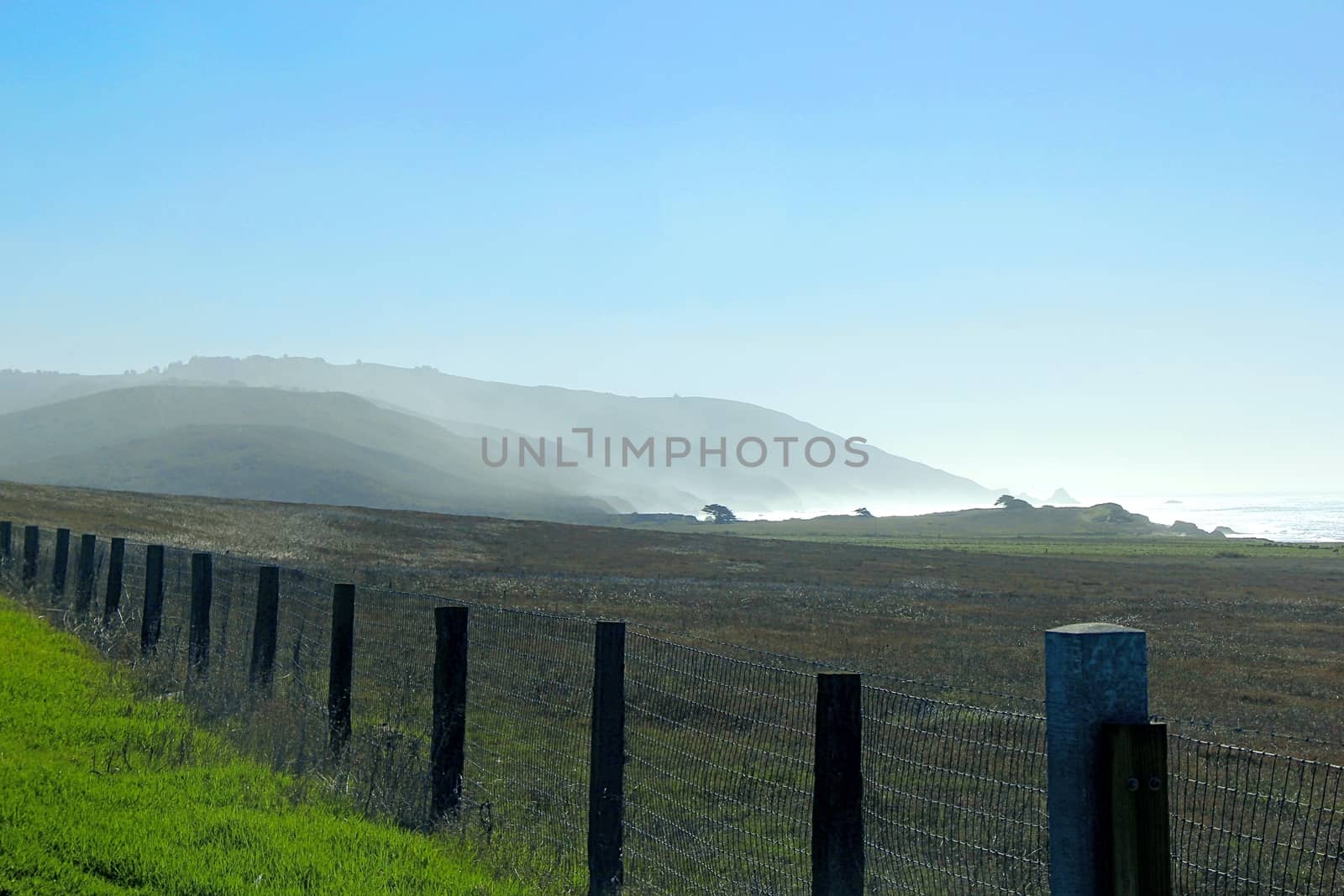 View from the freeway1,California.