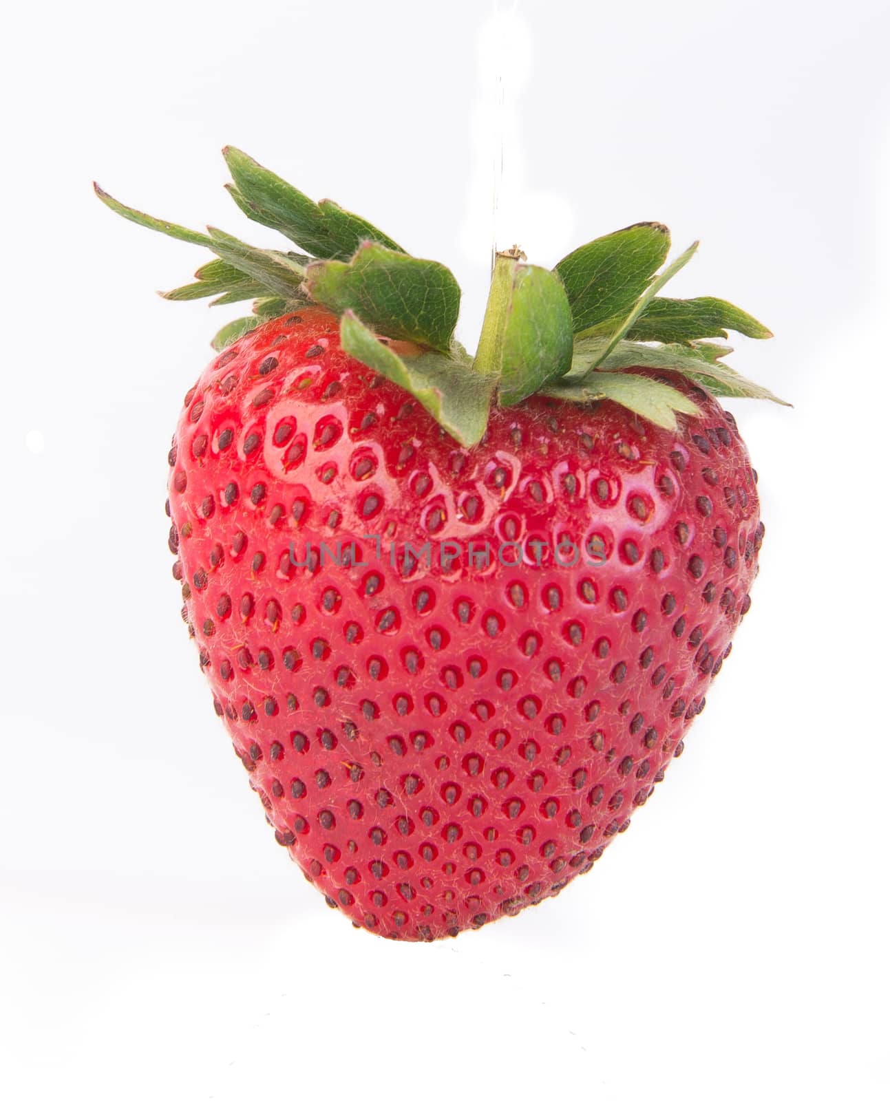 strawberries. Fresh strawberries on a background