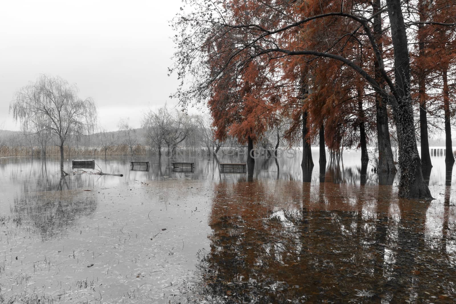 Lake of Varese overflow in the public park Zanzi, Schiranna