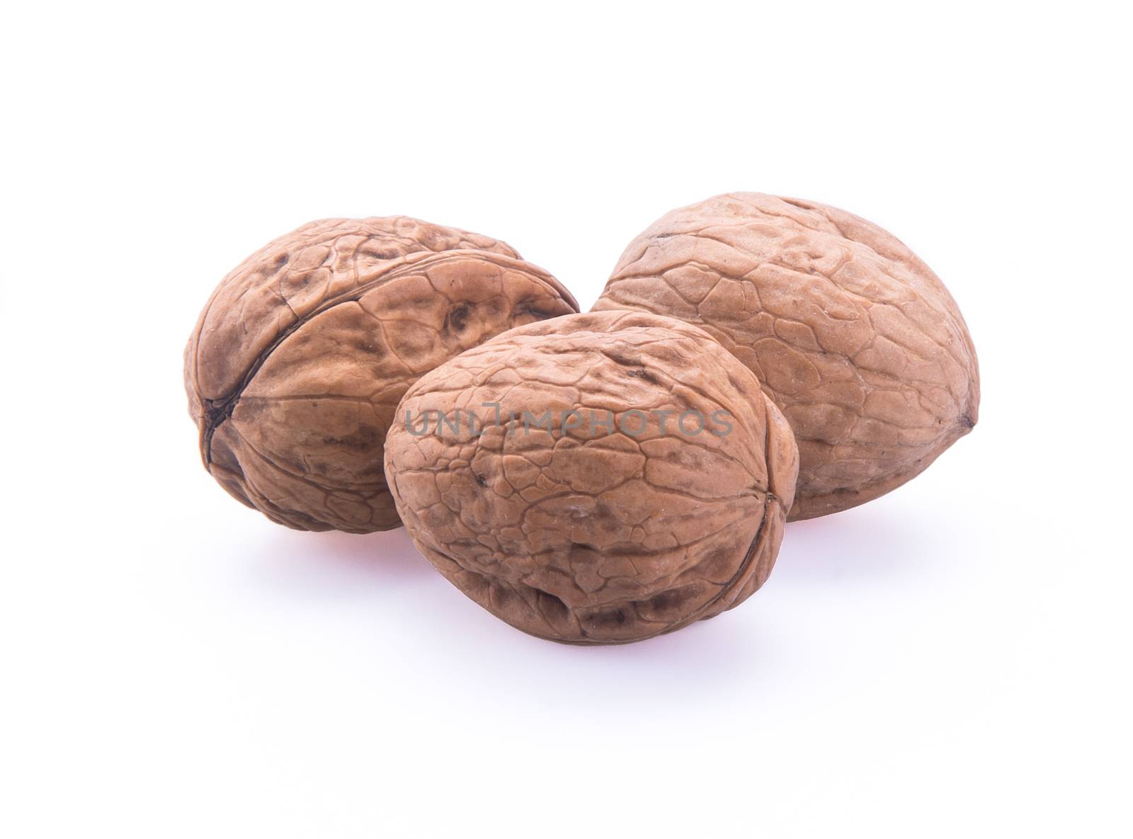 nut. walnut on the background.