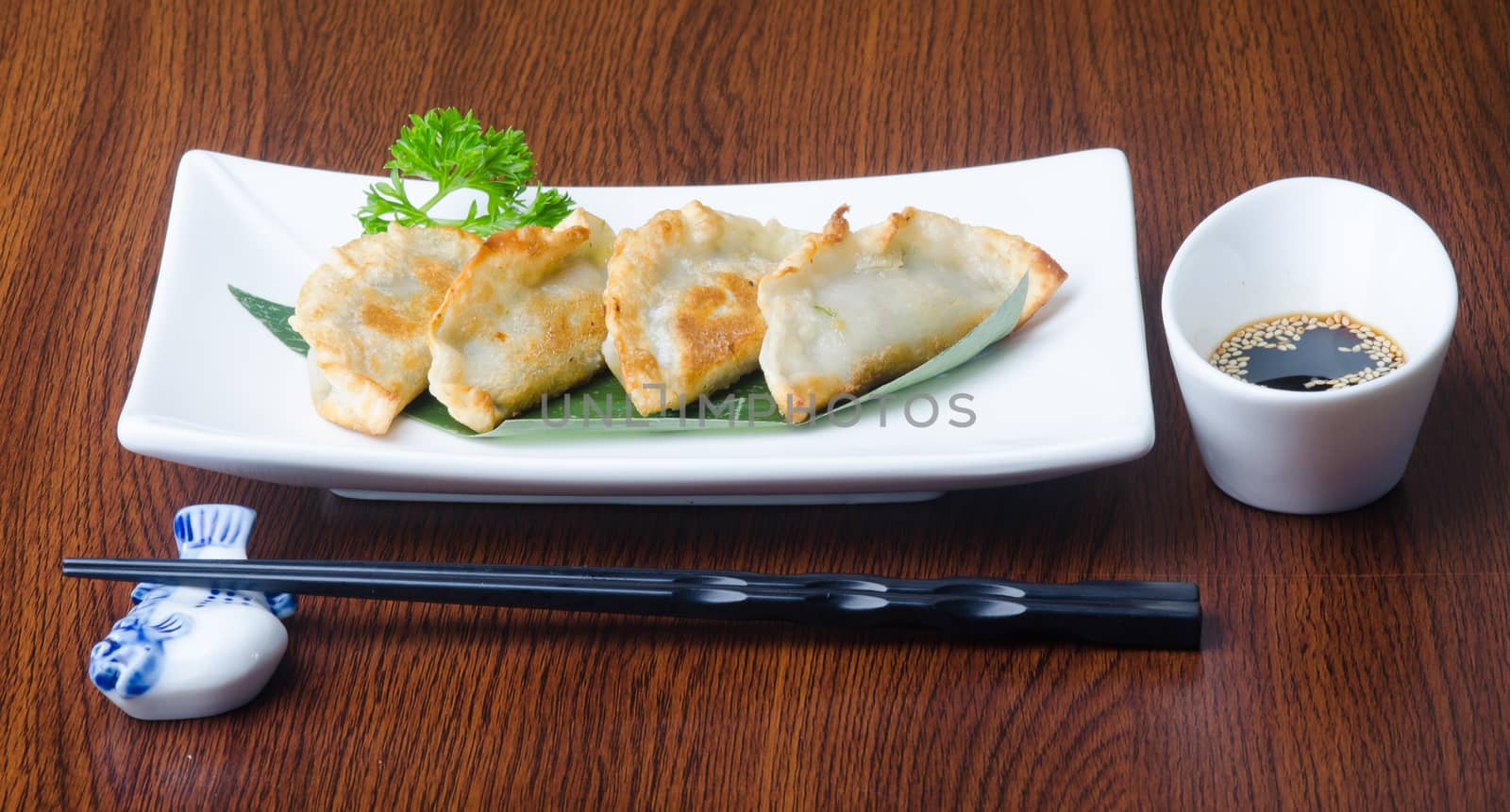 chinese dumplings on a background