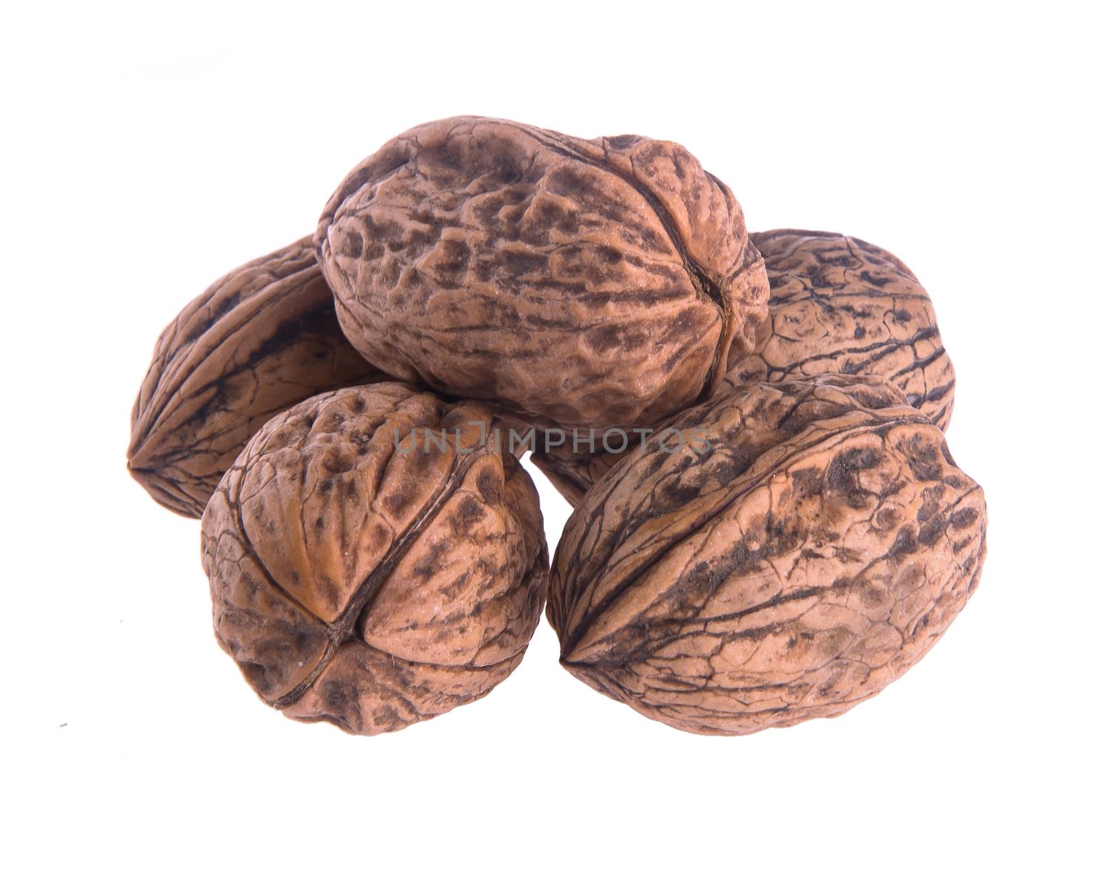 nut. walnut on the background.