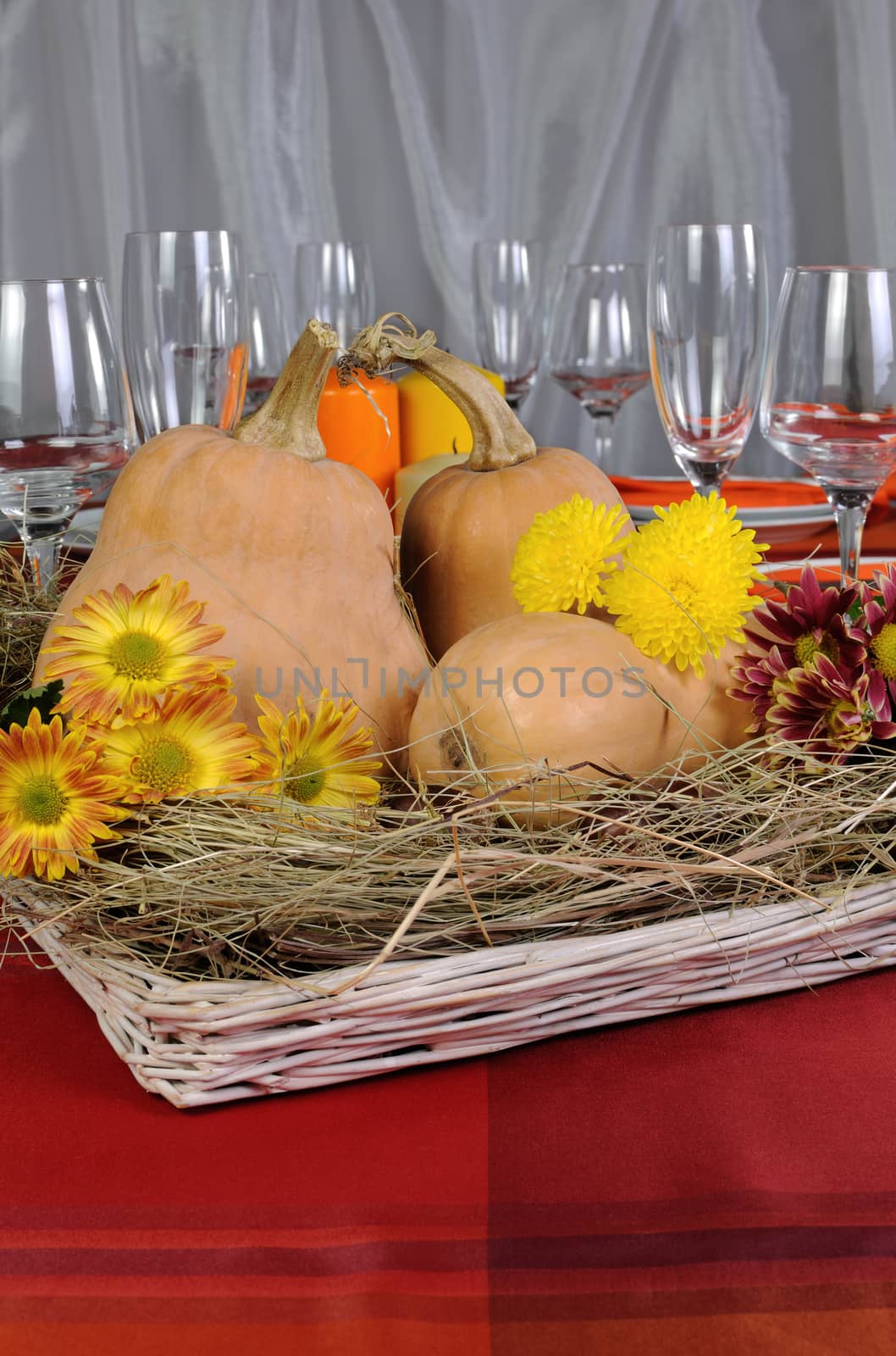 Motives of autumn in the design of the dining table