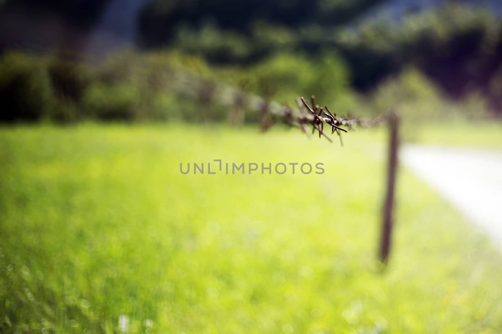 Barbed wire by photosampler