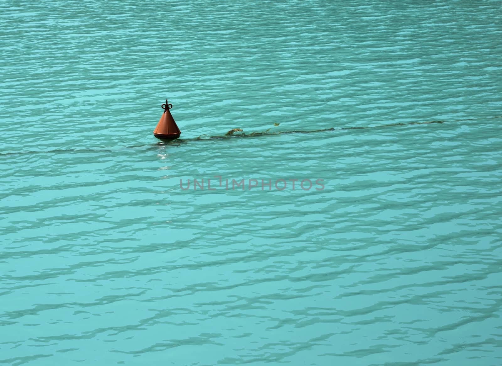 Bouy in the water by photosampler