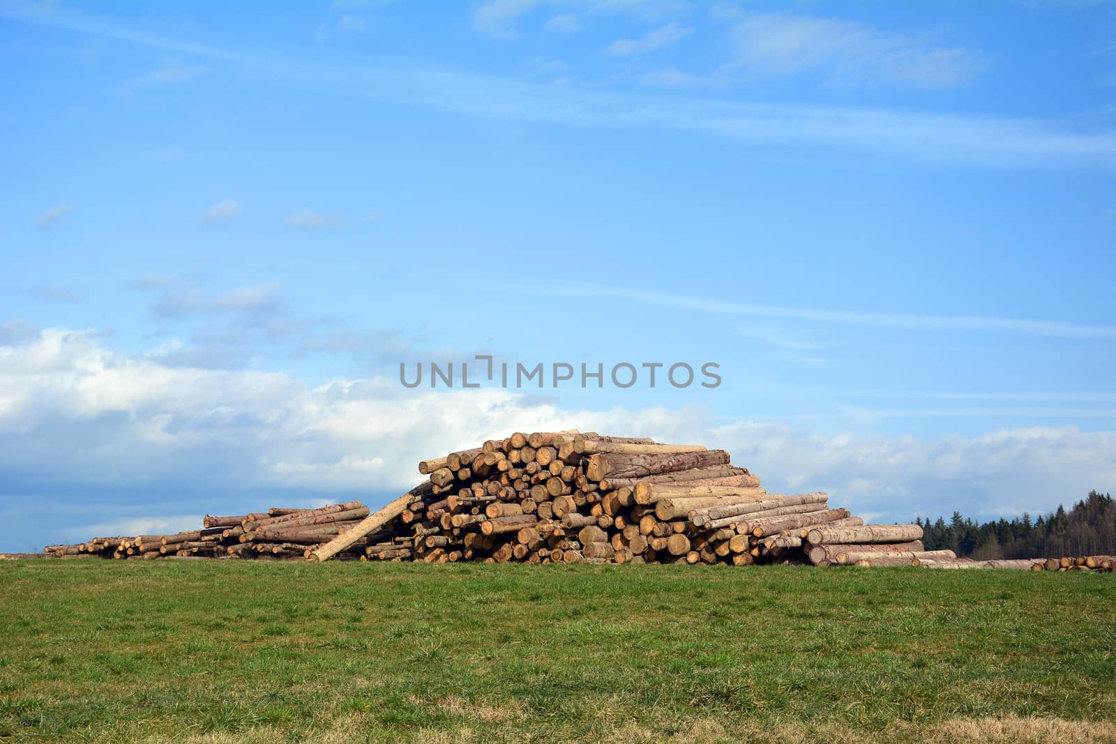 Woodpile by photosampler