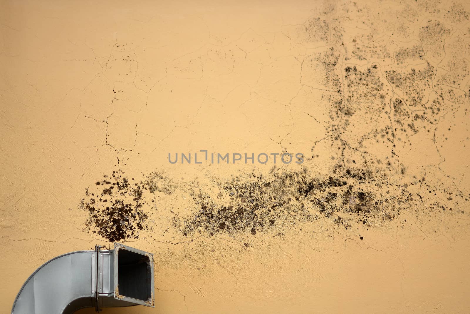 Ventilation causes mold by photosampler
