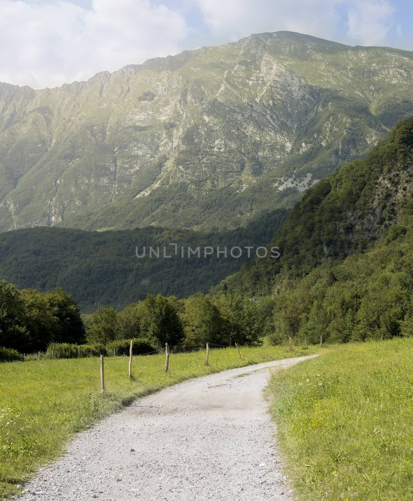 Country road before a hill by photosampler