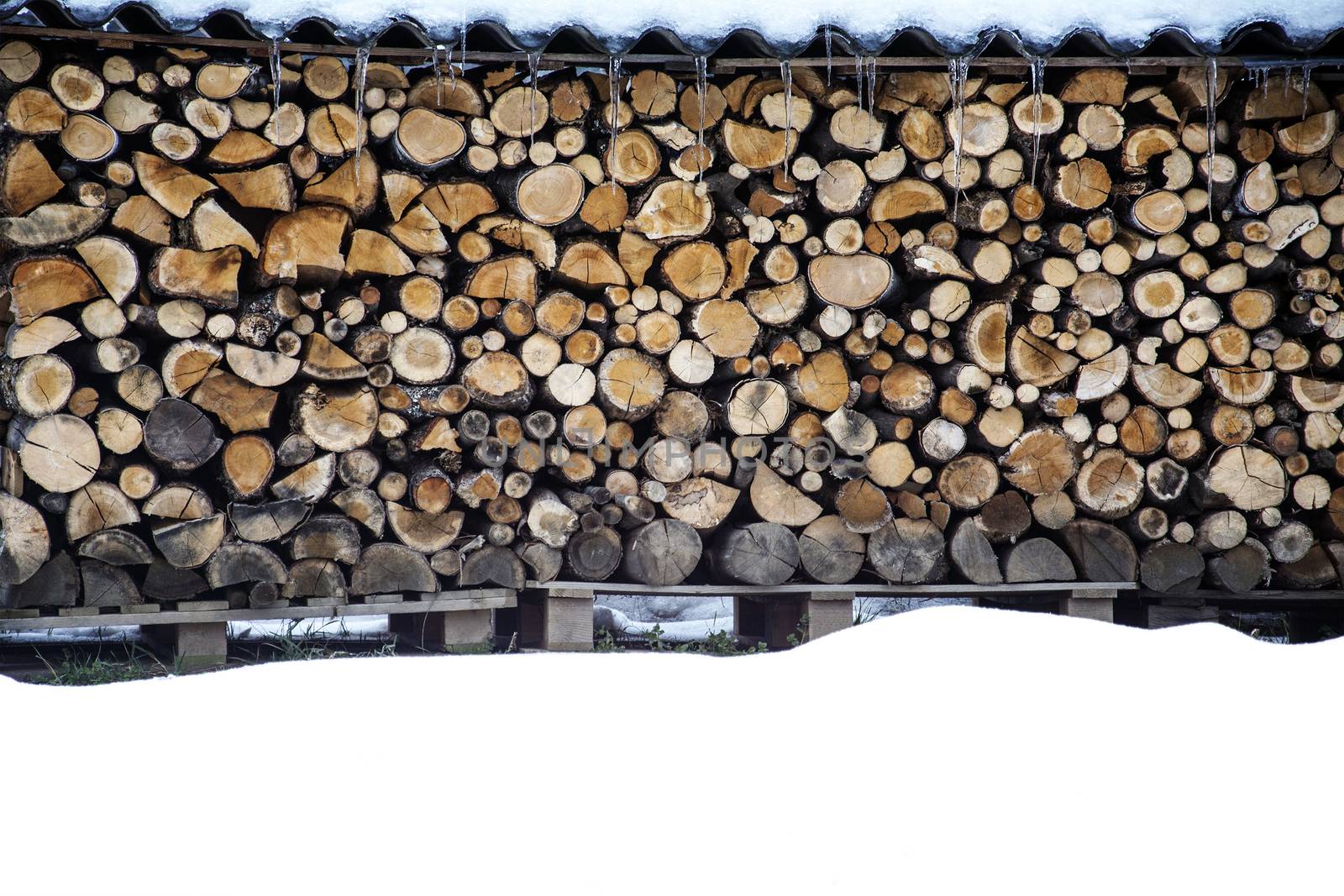 Wood pile in winter by photosampler