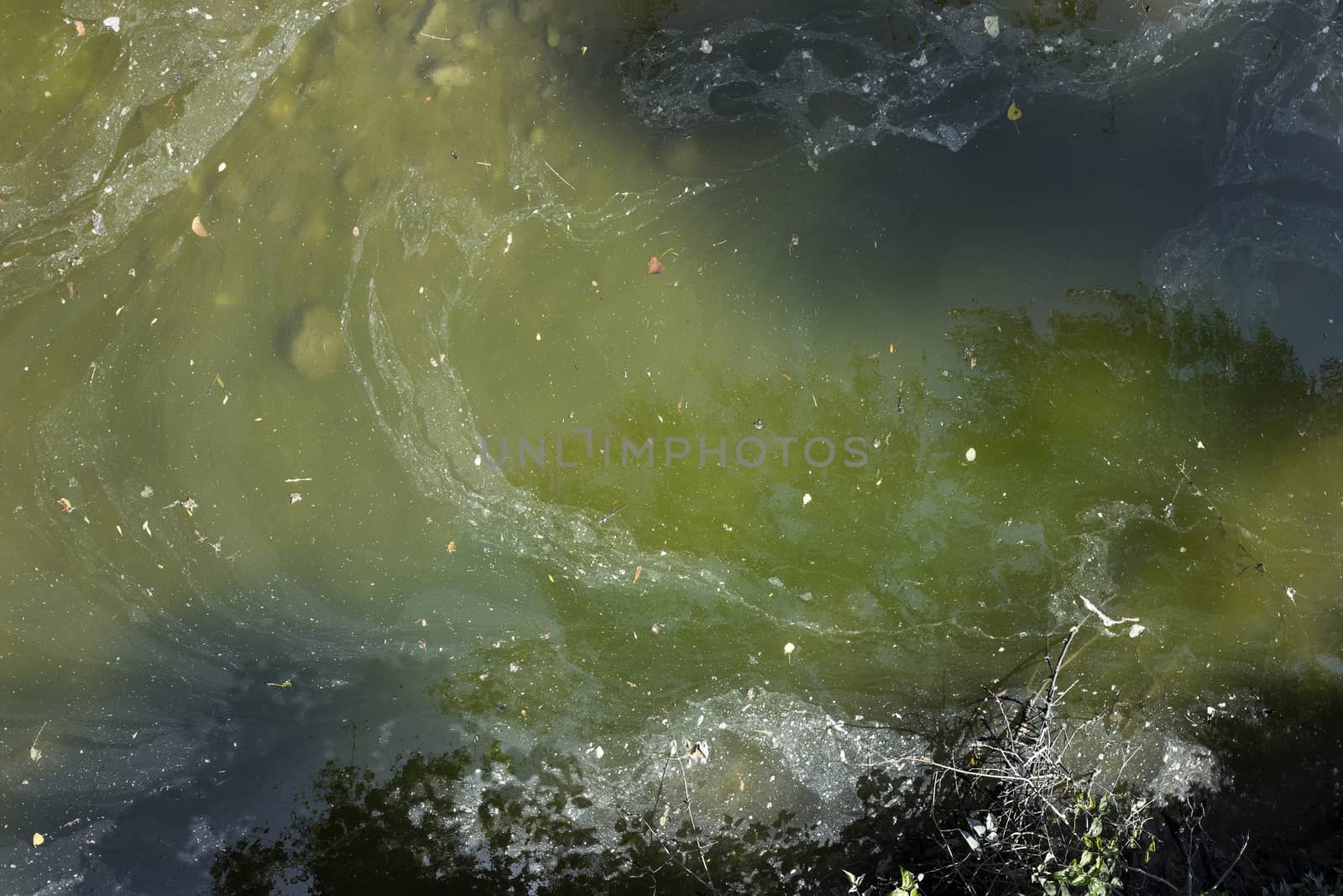 Water Pollution, top view by photosampler