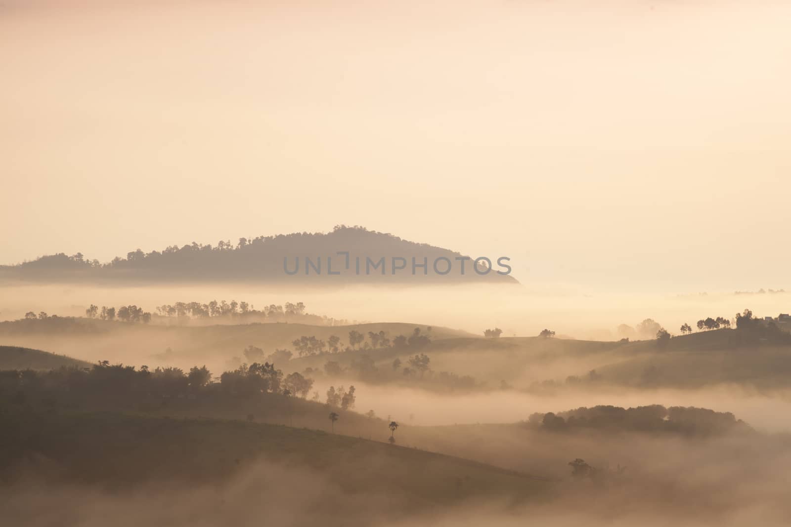 Mountain and fog in the morning. Mountain complexes with sunlight in the morning.