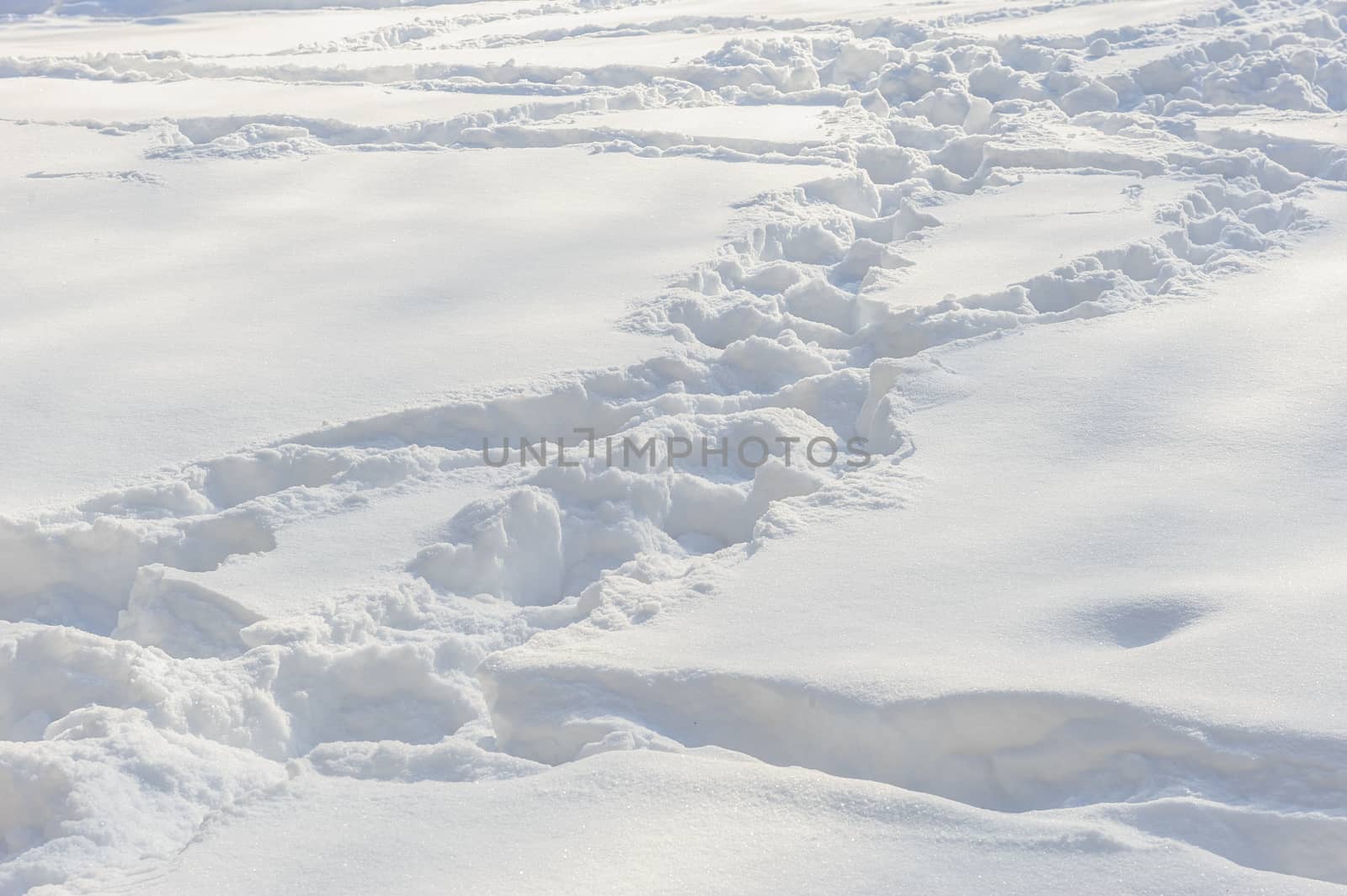 human tracks on the fresh white snow