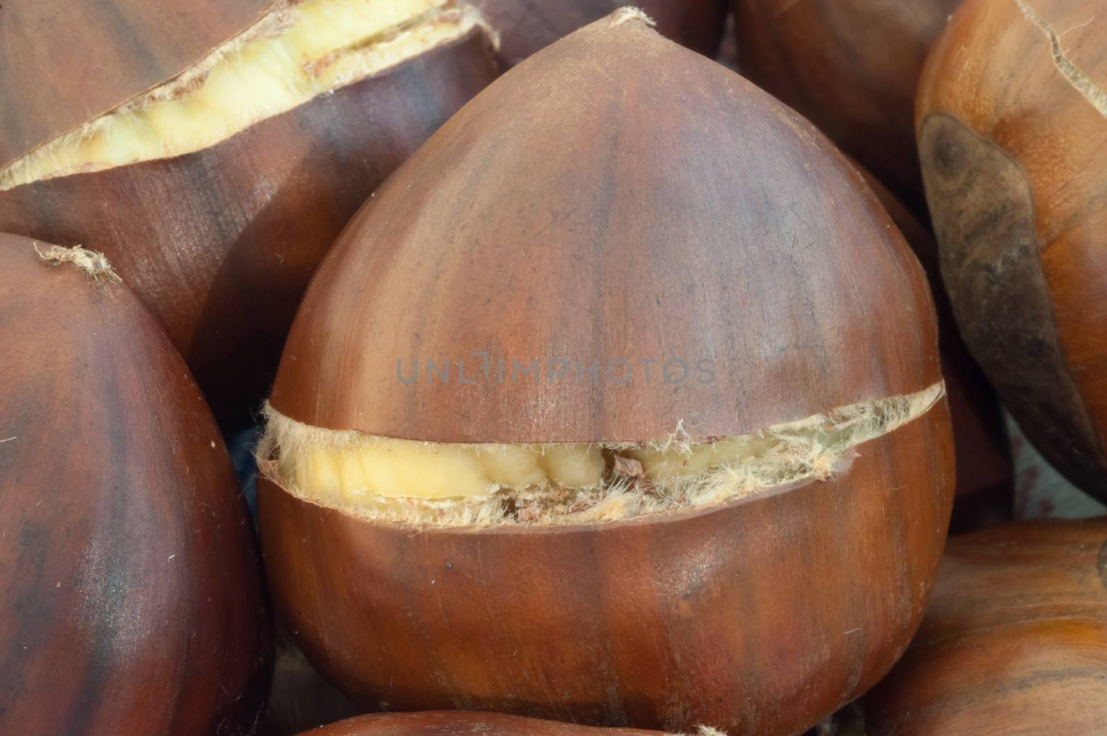 raw natural macro of cooked chestnuts in studio