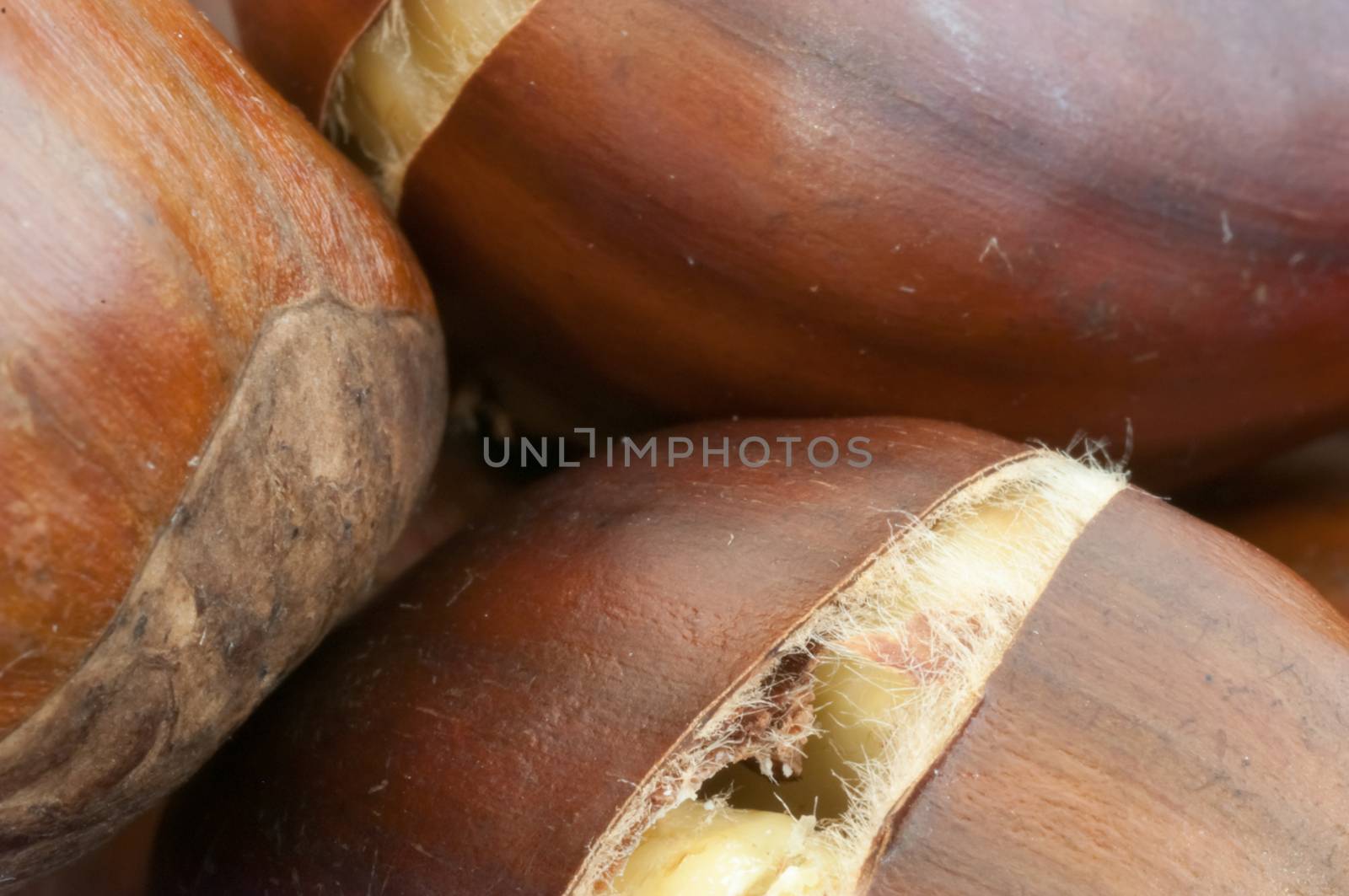 raw natural macro of cooked chestnuts in studio